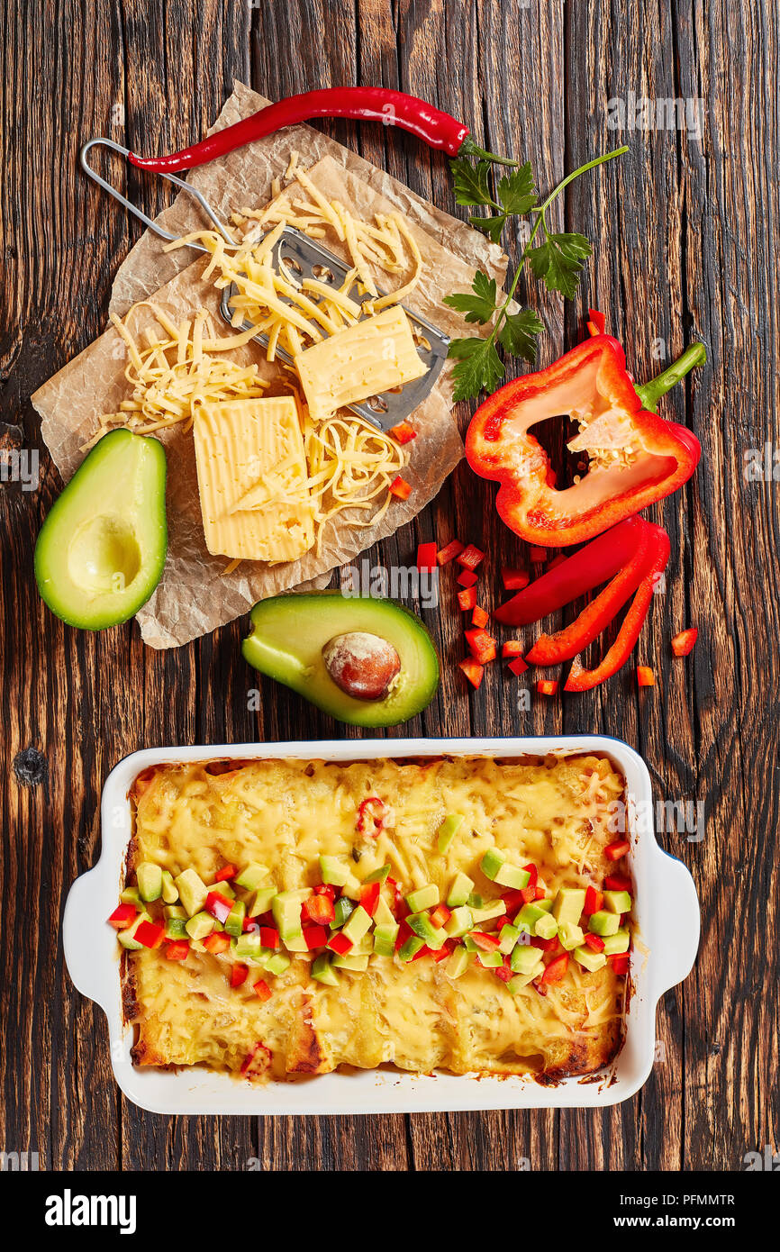 delicious hot homemade enchiladas of corn tortillas with shredded meat