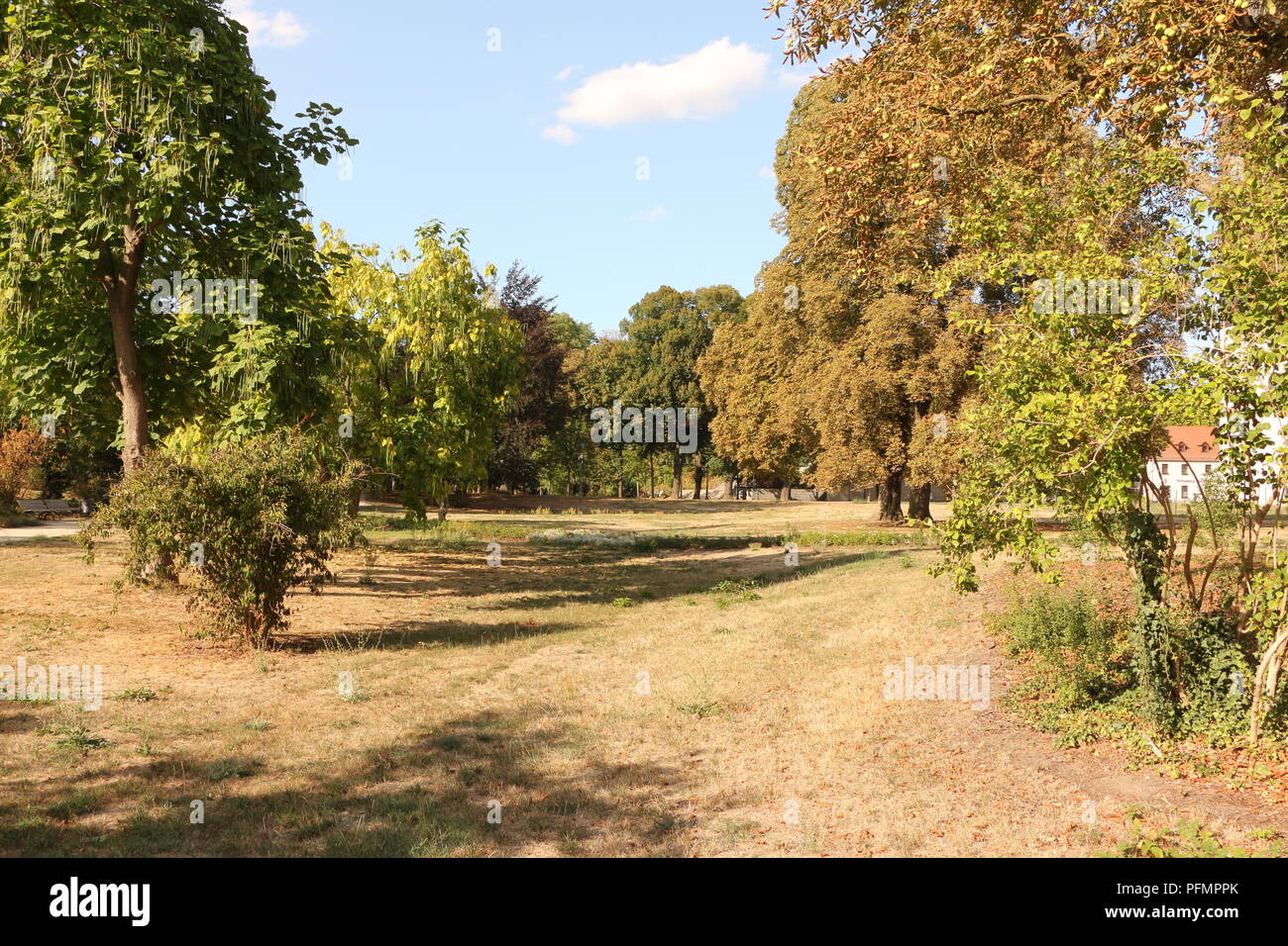 Kleiner Park im Zentrum von LutherstadtWittenberg Stock Photo Alamy