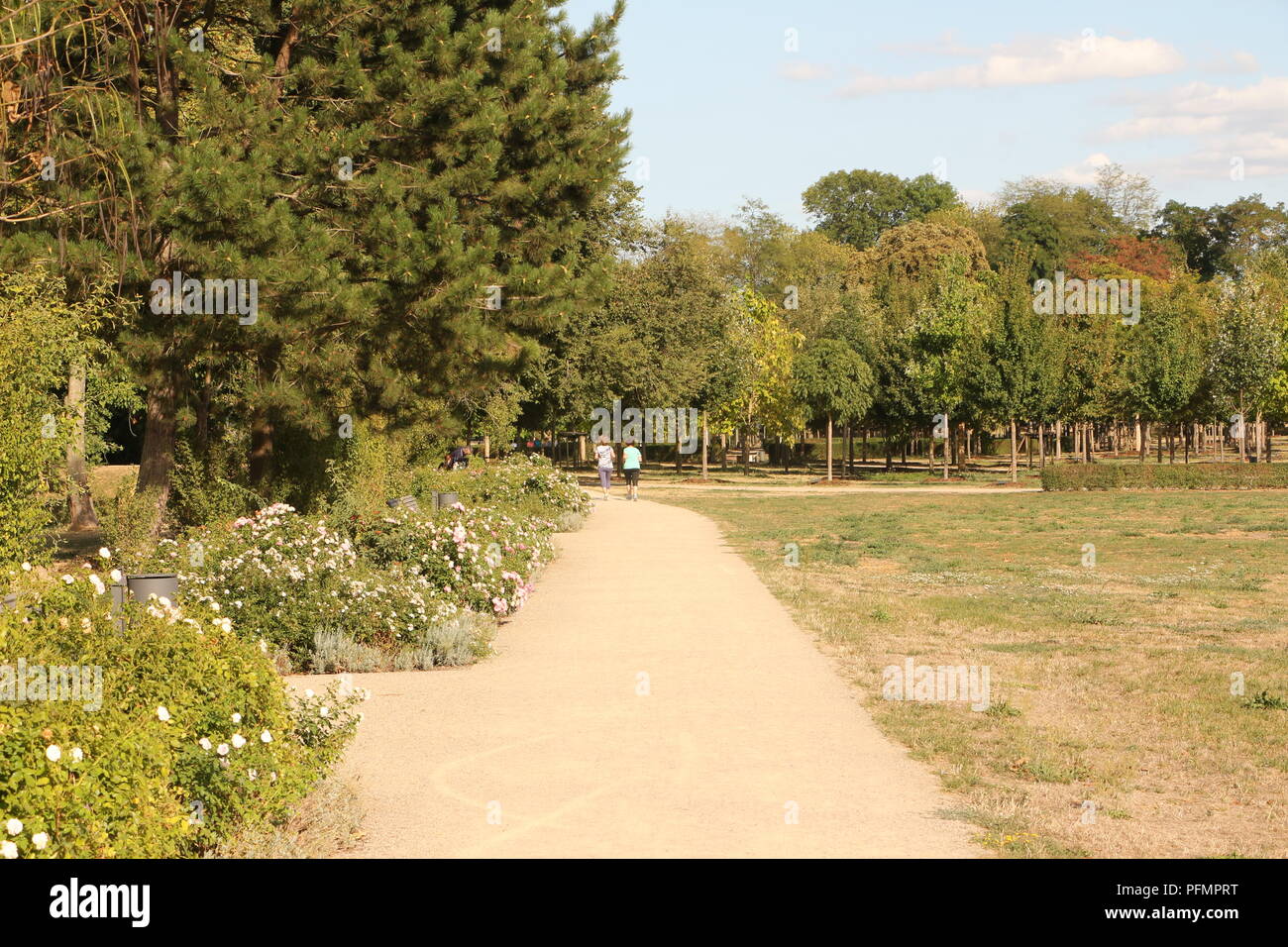 Kleiner Park im Zentrum von LutherstadtWittenberg Stock Photo Alamy
