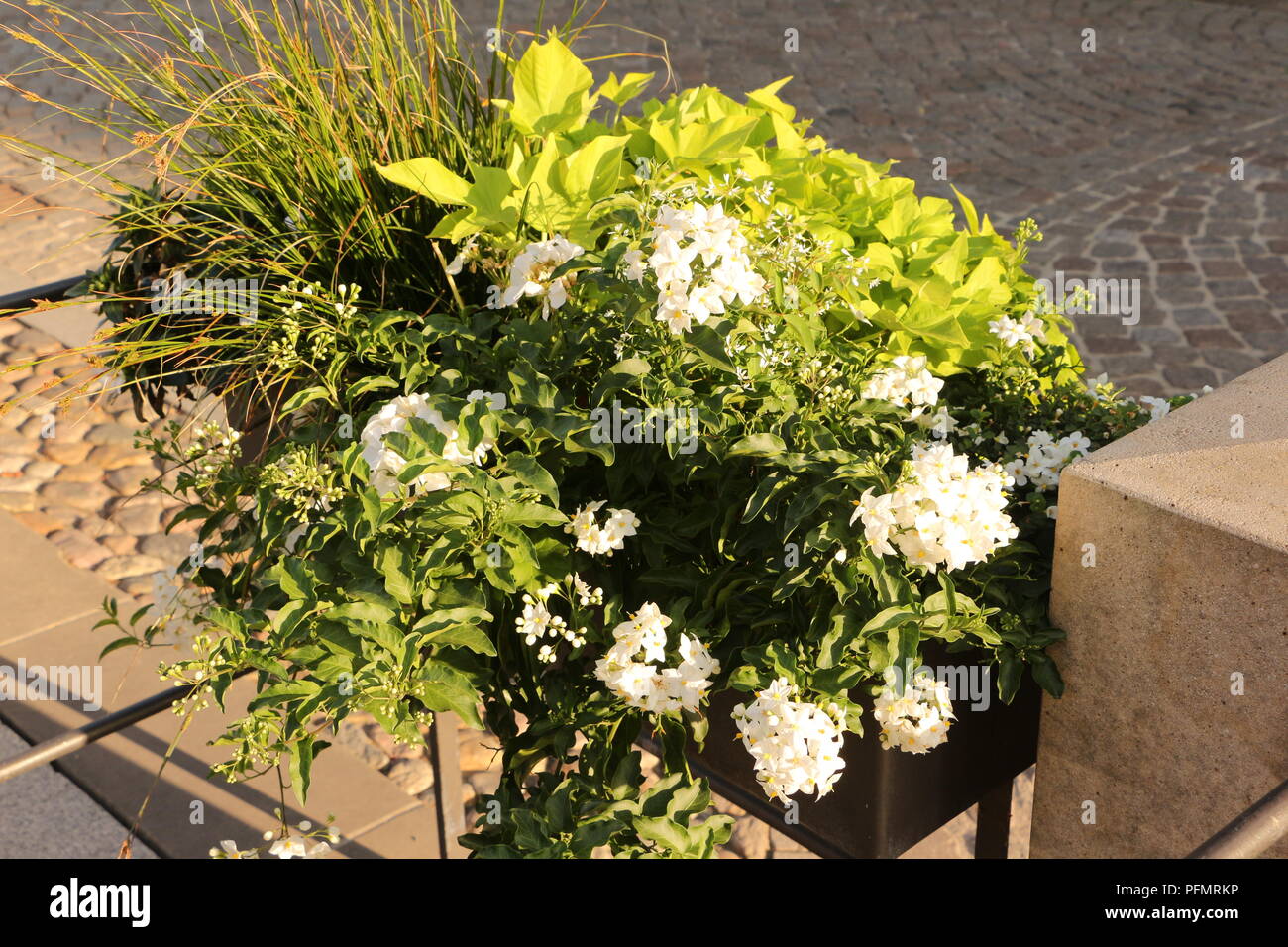 Page 2 - Blumenkästen High Resolution Stock Photography and Images - Alamy