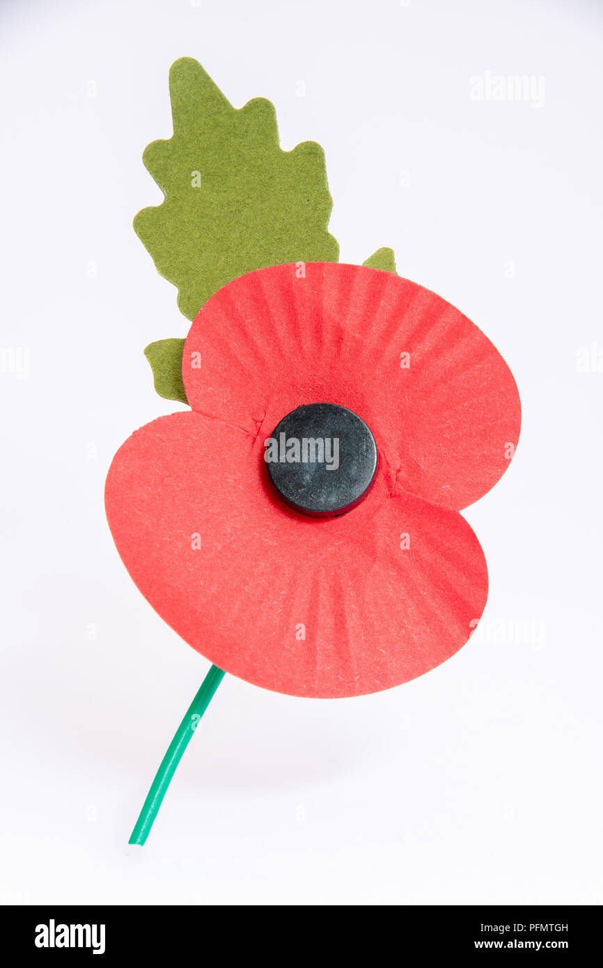 Paper red poppy used to symbolise Remembrance Sunday Stock Photo