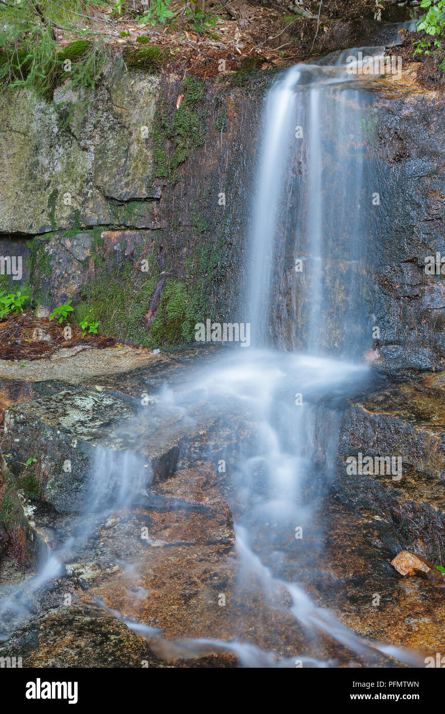 Small brook along the Lincoln Woods Trail in Lincoln, New Hampshire USA