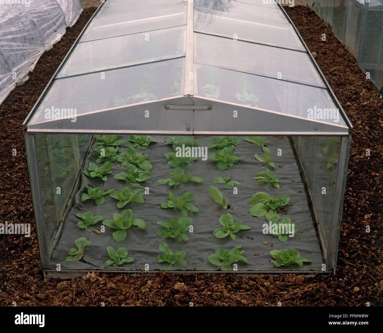 Glass and aluminium hires stock photography and images Alamy