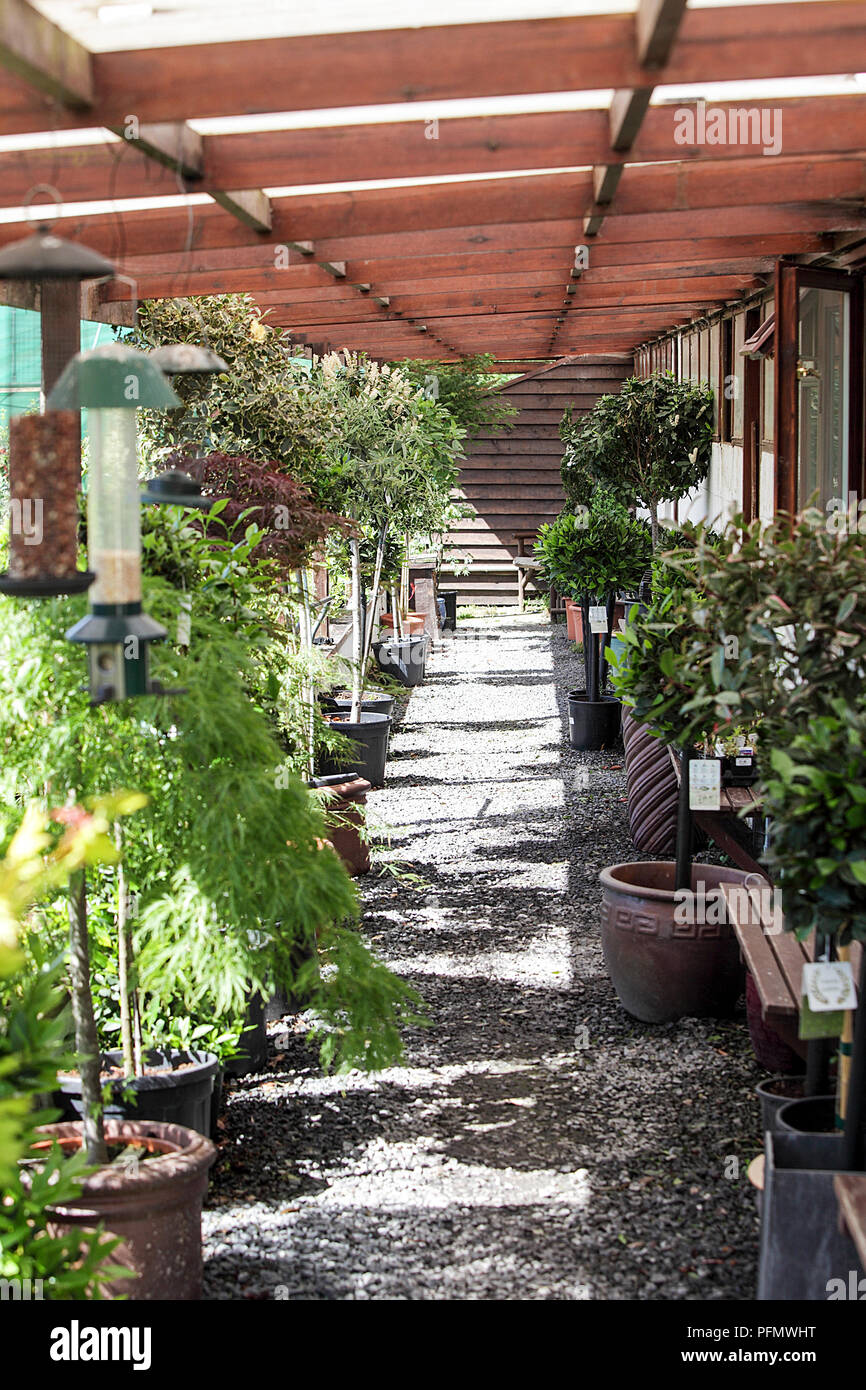 Portrait image of garden centre flowers, tree and shrubs on display and all for sale. Plants