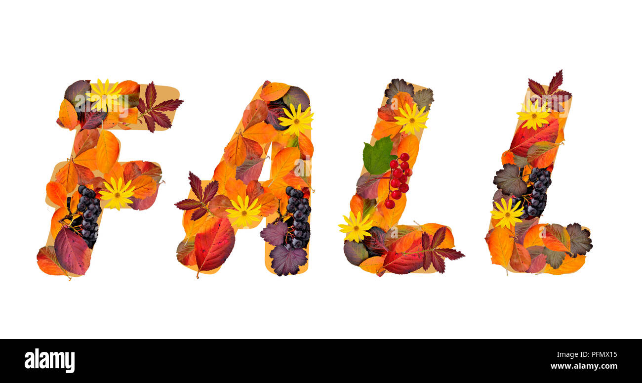 Word Fall composed from bright, colorful autumn leaves of different plants and red and purple berries isolated on a white background Stock Photo
