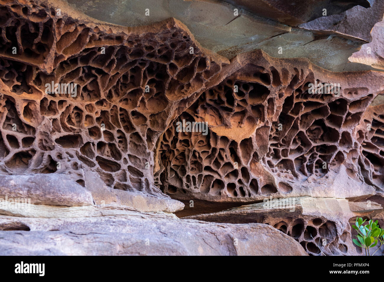 Australia, Western Australia, Kimberley Coast, Koolama Bay, King