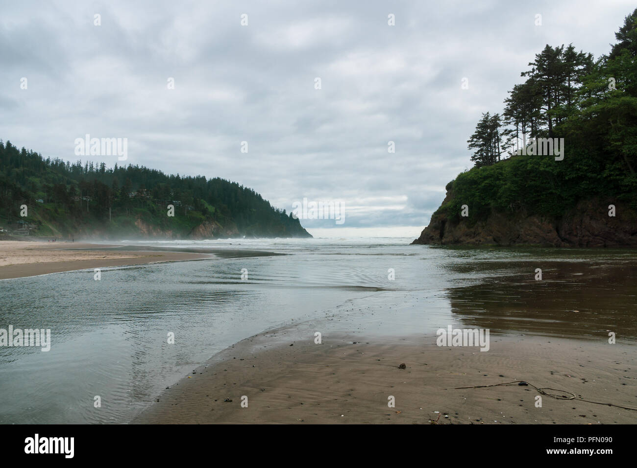 Neskowin Beach on a overcast day of oceanic weather, Oregon Coast, USA. Stock Photo