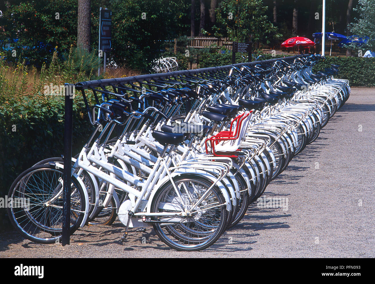 Holland, Hoenderloo, Nationaal Park de Hoge Veluwe, white bicycles parked in bicycle rack Stock Photo