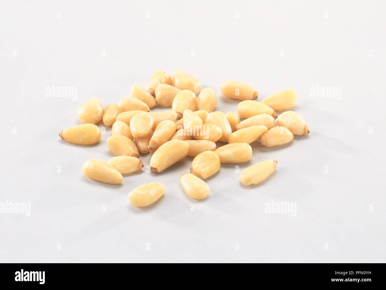 Korean Pine (Pinus koraiensis) pine nuts Stock Photo