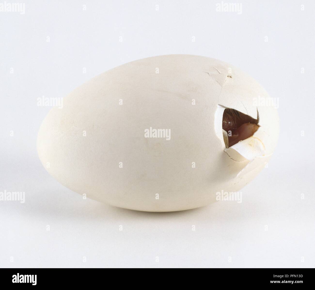 Crack egg hires stock photography and images Alamy