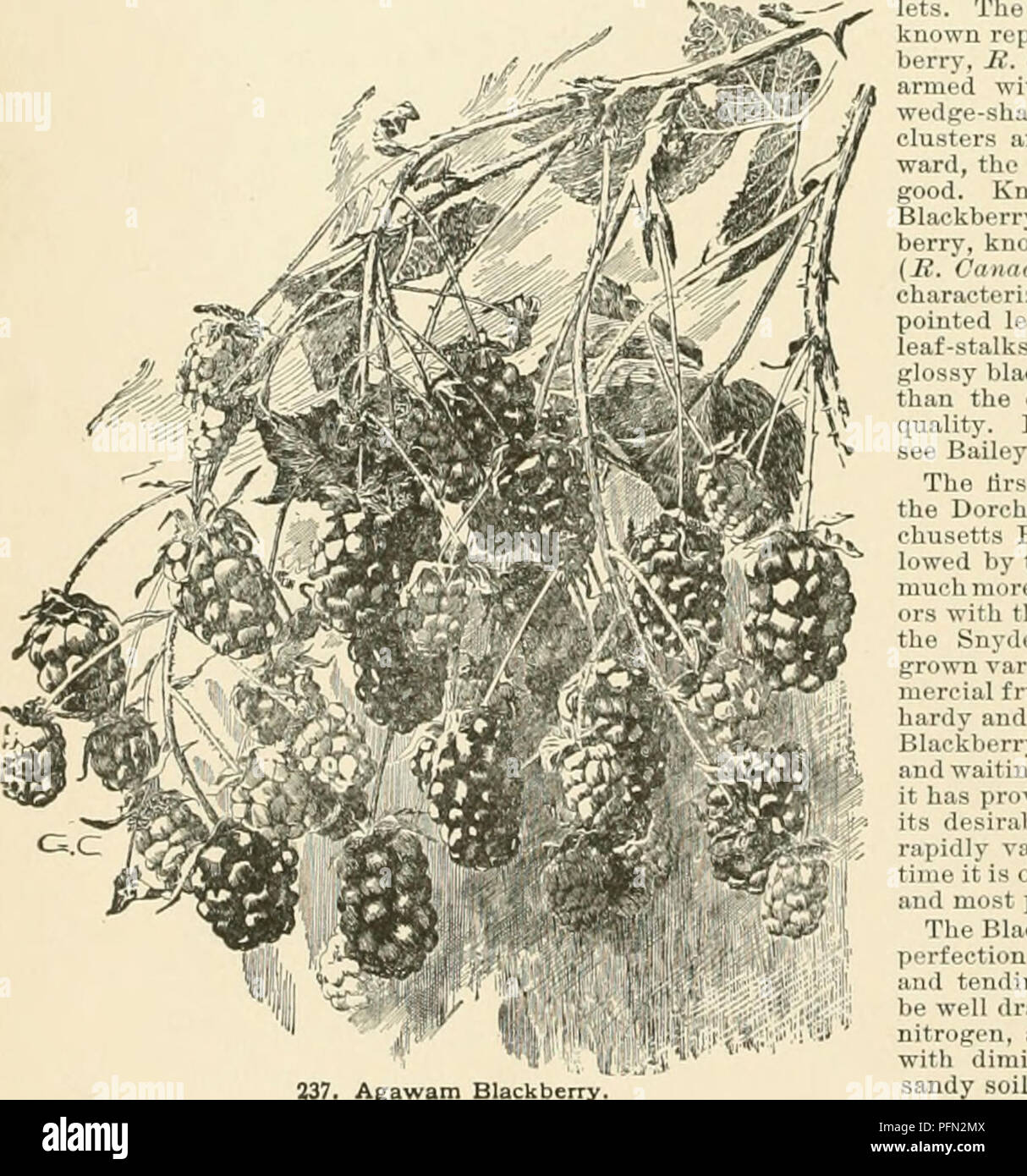 article thumbnail