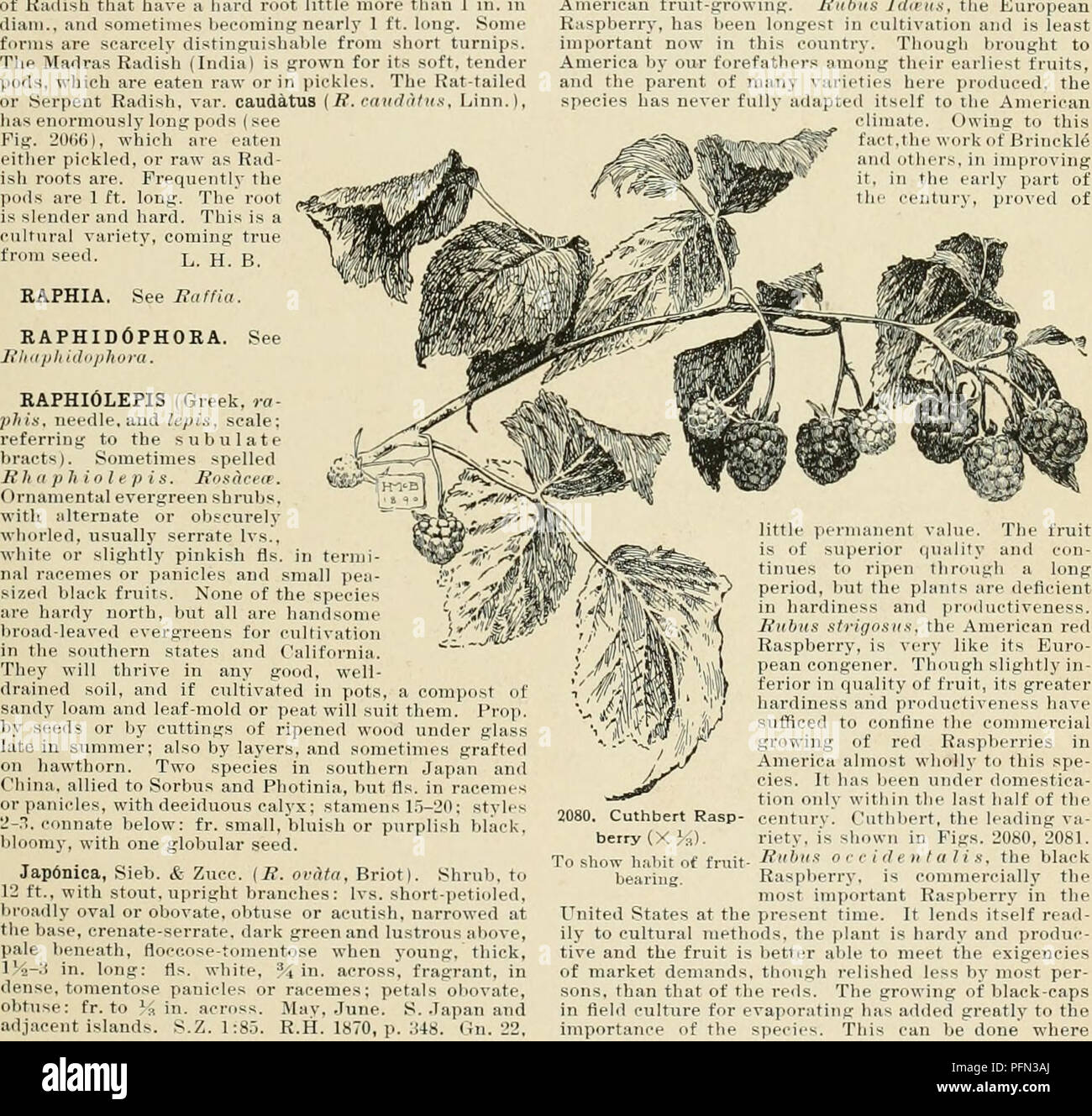 Ft Ee High Resolution Stock Photography And Images Alamy