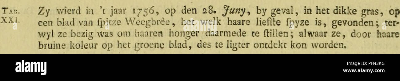 . De natuurlyke historie der insecten; voorzien met naar 't leven getekende en gekoleurde plaaten. Insects. 114 VERVOLG VAN DE BESCHRYVING. §. 2. De hier afgebeelde foort van Rupfen is my te vooren nooit onder 't oog geko- men; en dewyl deze, toen ze gevonden wierd, byna volwafien was; gemerkt ze fleclits nog vyf dagen de fpicze Weegbrêe, die ik haar tot votdzel gaf, nuttig- de; kan ik van iiaarc eerlle jeugd, en van de veranderingen geduurende dien tyd, niets zeggen*. S. 3' Ten opzichte der geftalte, heeft deze Rups, boven andere foorten, hierin iets byzonders: dat ze, de grootte uitgenomen,  Stock Photo