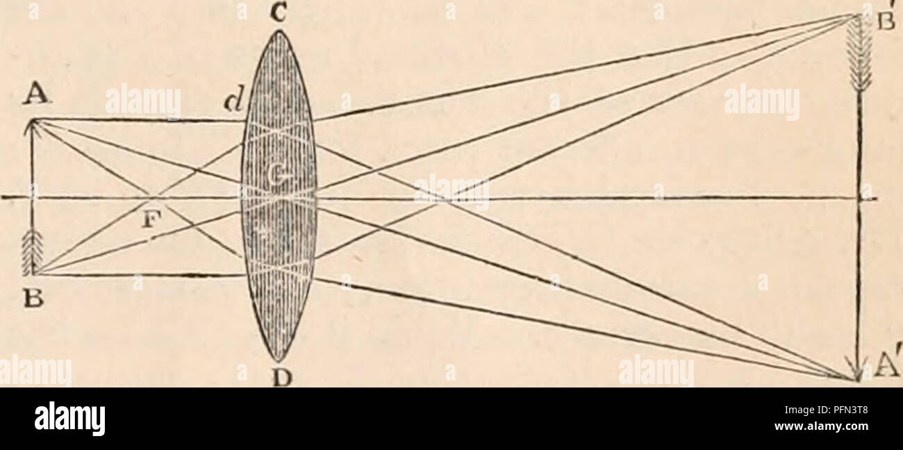 . The cyclopædia of anatomy and physiology. Anatomy; Physiology; Zoology. VISION. 1439 combination of crown and flint glass. He supposed the mean refractive power of flint glass, as compared to crown glass, to be 158 to 153; Fraiinhofer states it to be IG-t to 153. The prismatic dispersion in English flint glass is li times, but in Fraunhofer's, it is twice as great as in crown glass. Such are the chief facts concerning light, •which bear reference to vision: to the con- sideration of the physiology of which we now proceed. Phenomena of Vision. — The special function with which the retina is e Stock Photo