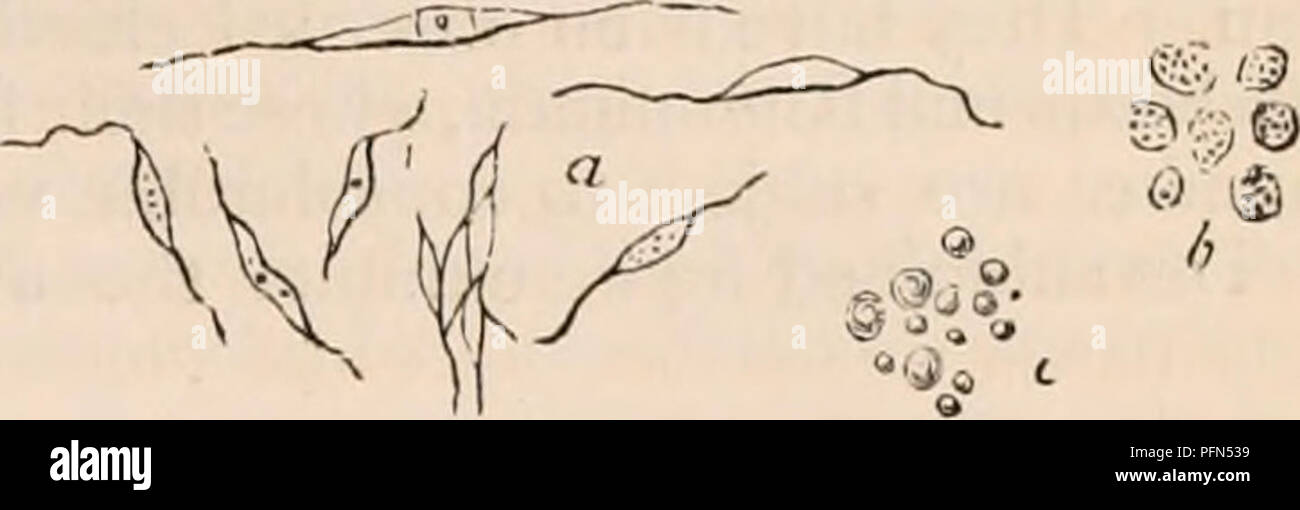 Haddan tashqari buzuq jinsiy aloqa