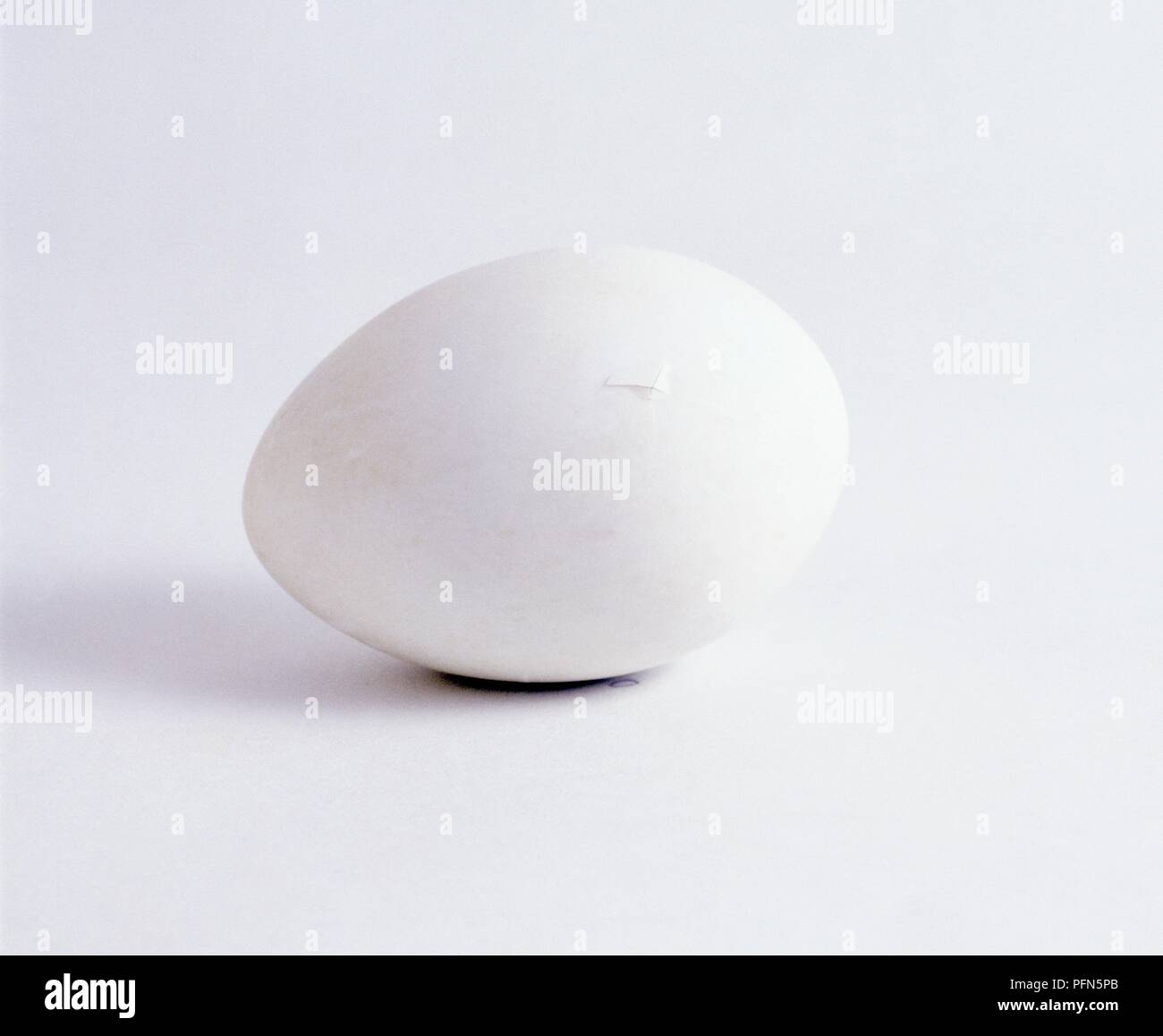 Aylesbury duck egg with tiny crack visible Stock Photo Alamy