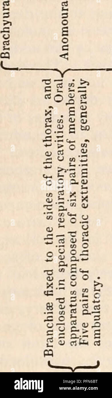 Cu N High Resolution Stock Photography And Images Alamy