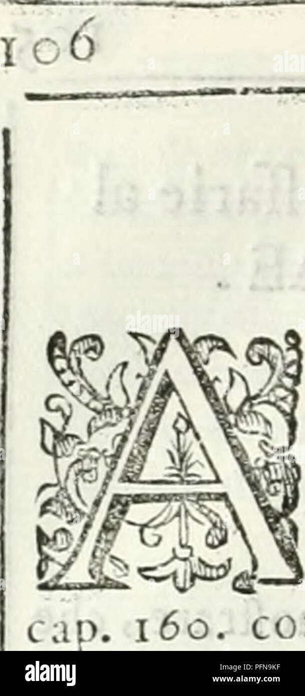 . Dell'elixir vitÃ¦. Elixir of life; Distillation; Alchemy; Medicinal plants; Medicine; Workshop recipes. Da quali parti pel mondo ci fi [porcili Bitume. j II bicorne nero dal Mr'hioli vie piÃ¹ lodato. Virtuofe quali- tÃ in molti ri- medi) adopera ti del bitume. ['aiti del corpo aiutare da rinre- d j del bitume &gt; tctta.eitomaco. Dell'Elixir Vita? Che cola fia la Canfora.efe fia l'pecie di Bicu me. QualitÃ della Canfora. Farti deleorpo, ali--- quali beni gnamente (oc- corre la Canfo ra,tefta,fegato, e reni. yafi leminali Â» fangue&gt;e occhi. Quali parti del corpo a &quot;nano per lor nltoro Stock Photo