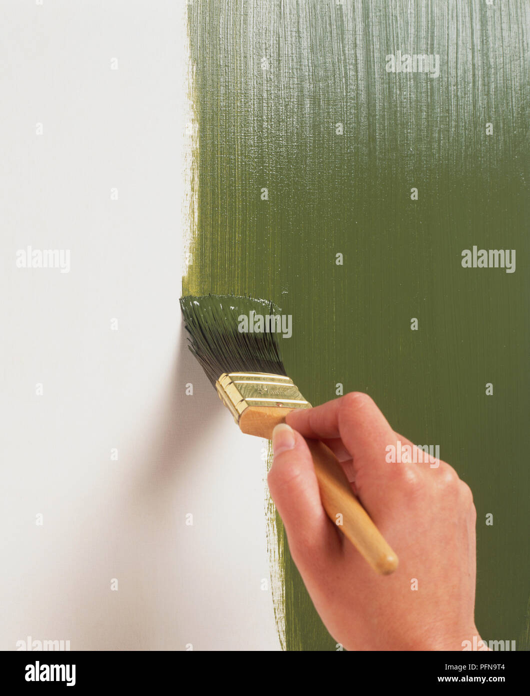 Using brush to apply even coat of olive green paint, close up. Stock Photo
