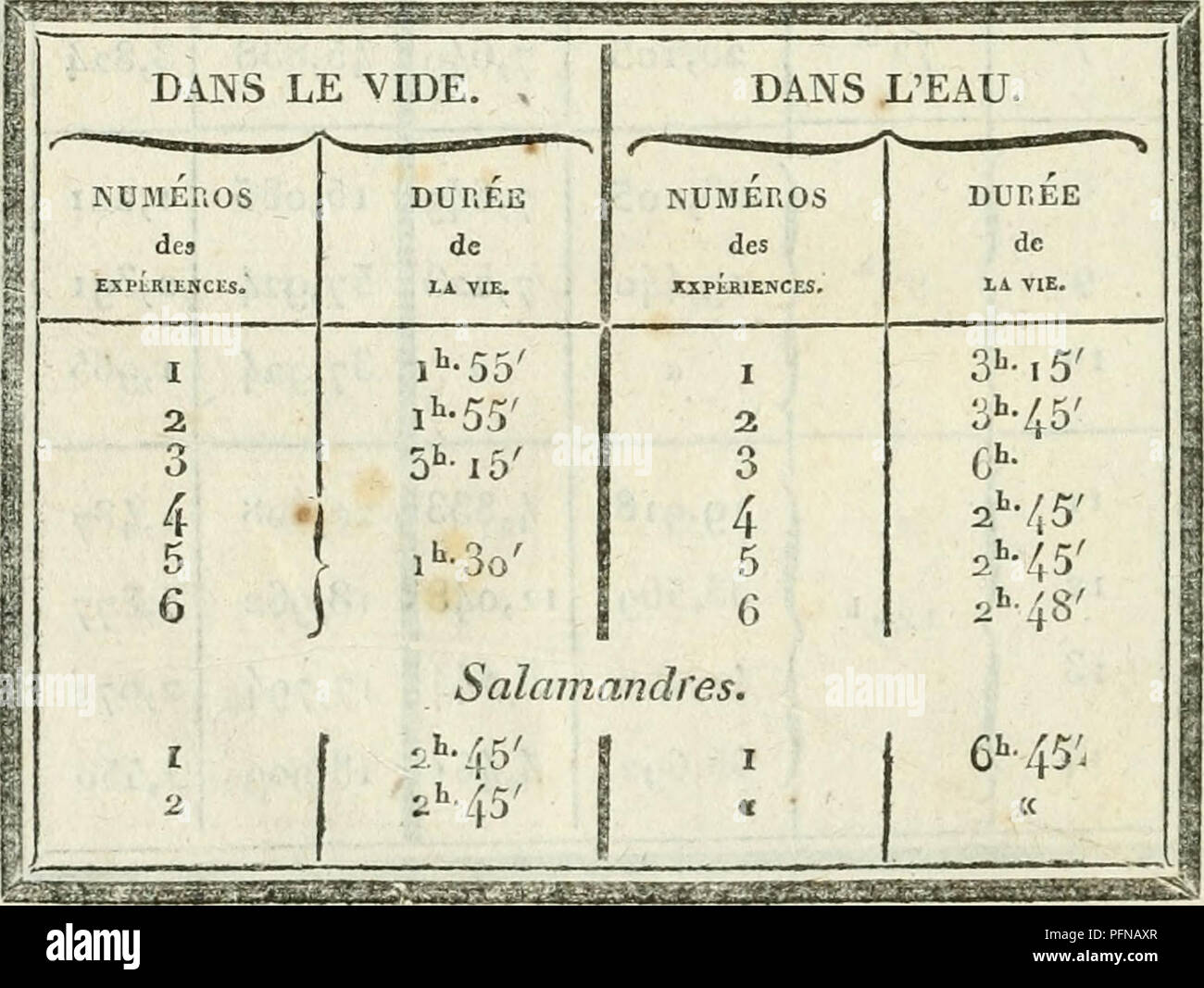 . De l'influence des agens physiques sur la vie. Physiology; Human beings; Animal ecology. O^S'o' I gsram, 22 ,85-, &amp;-Zo' |20 1^4 ,520 ^-74 ^Sram.^3^2 3lS&quot;Â°'-^8oC 0 ,26(J 22 ,202 Â» .898 j478 23 21 21 26 â Z?e5 Salamandres. â¢45'' I ,213J6 ,238 8 K/-^.a??g^?^-gy,--!S^--^^.^ut.4^^,..4j'.,^j./-.-Lv-?j^^ B. DurÃ©e de la Vie des Grenouilles asphjxiÃ©es comparatii&gt;emeJÃ®t dans le mde et dans l'eau.. Please note that these images are extracted from scanned page images that may have been digitally enhanced for readability - coloration and appearance of these illustrations may not perfect Stock Photo