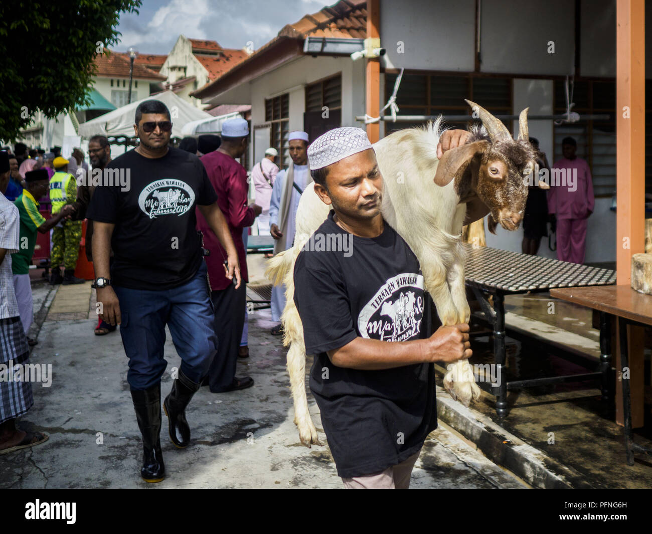 Penang government Eid al-Adha livestock culling image How a Ritual Gone Viral Became a Geopolitical Flashpoint