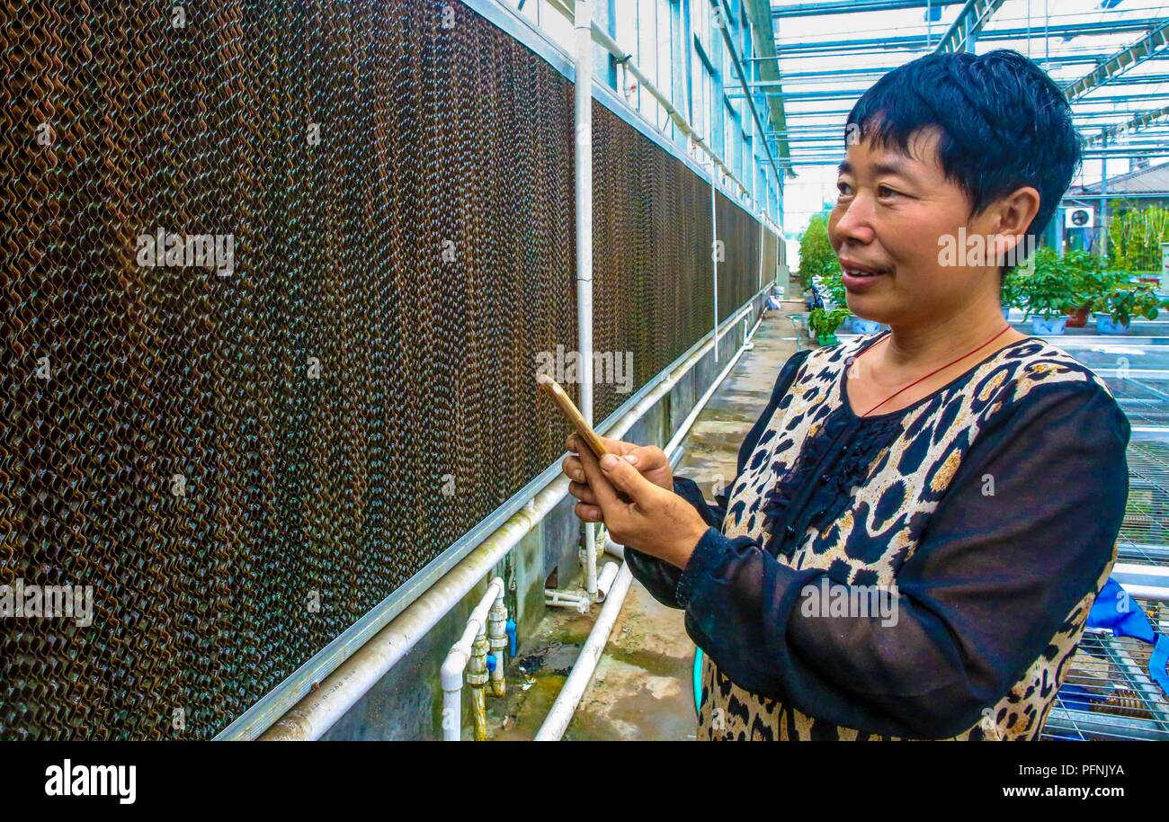 Evaporative cooling hi res stock photography and images Alamy