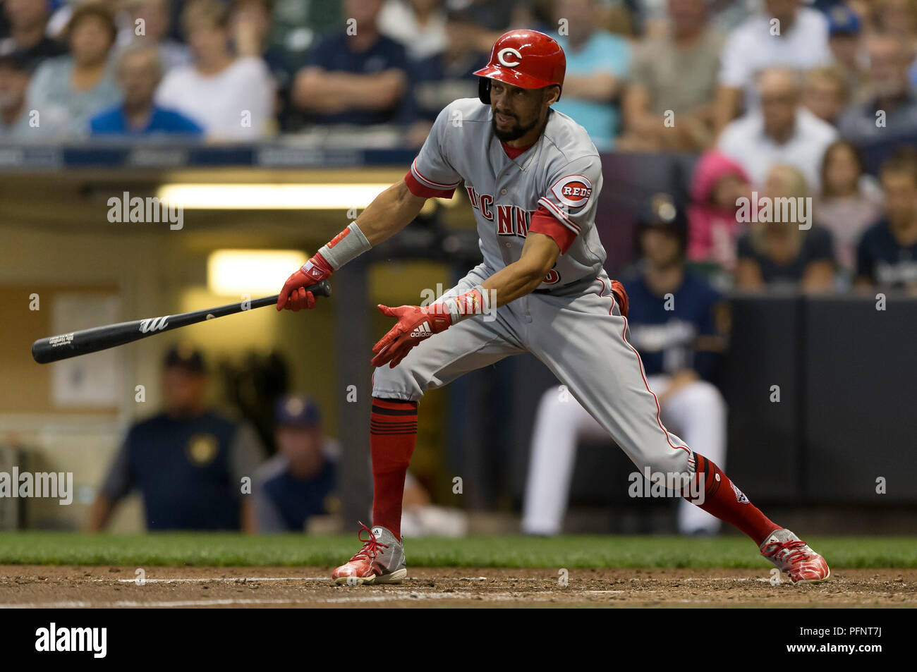 Out fielder hi-res stock photography and images - Alamy