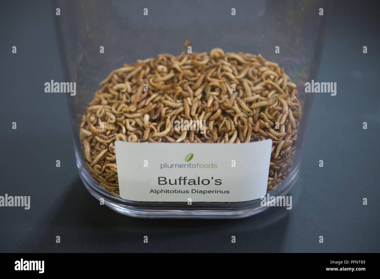 Pforzheim, Germany. 11th July, 2018. Dried larvae of a grain mold beetle (Alphitobius diaperinus), also called Buffalo worm, lie in a presentation glass container of Plumento Food GmbH. The company develops and sells food products containing, among other things, insect meal. Credit: Marijan Murat/dpa/Alamy Live News Stock Photo