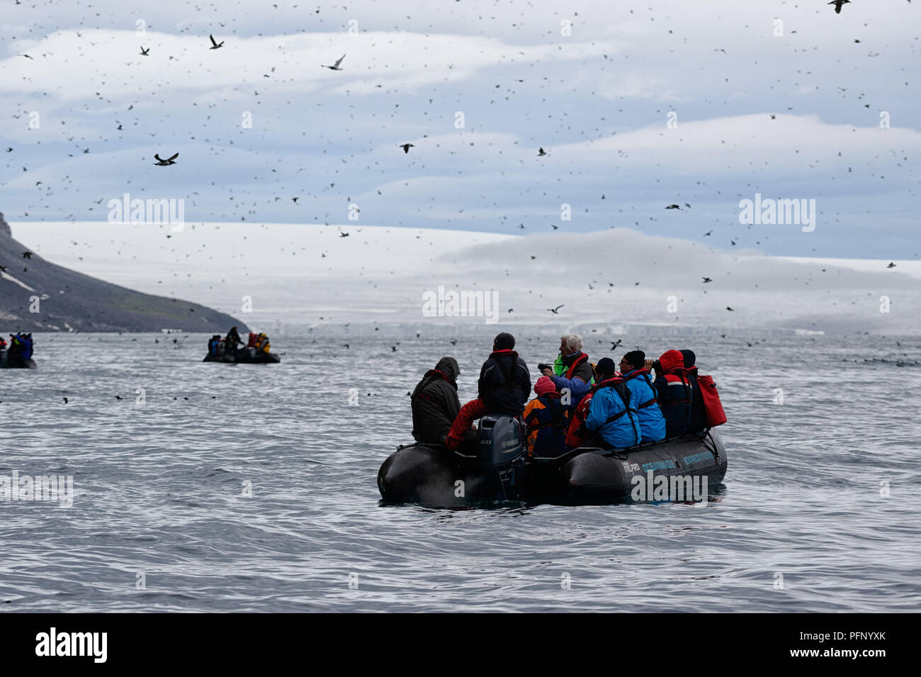 At Alkefjellet, Svalbard, Norway. Tourists in zodiacs are watching birds flying aroung the cliffs. Stock Photo