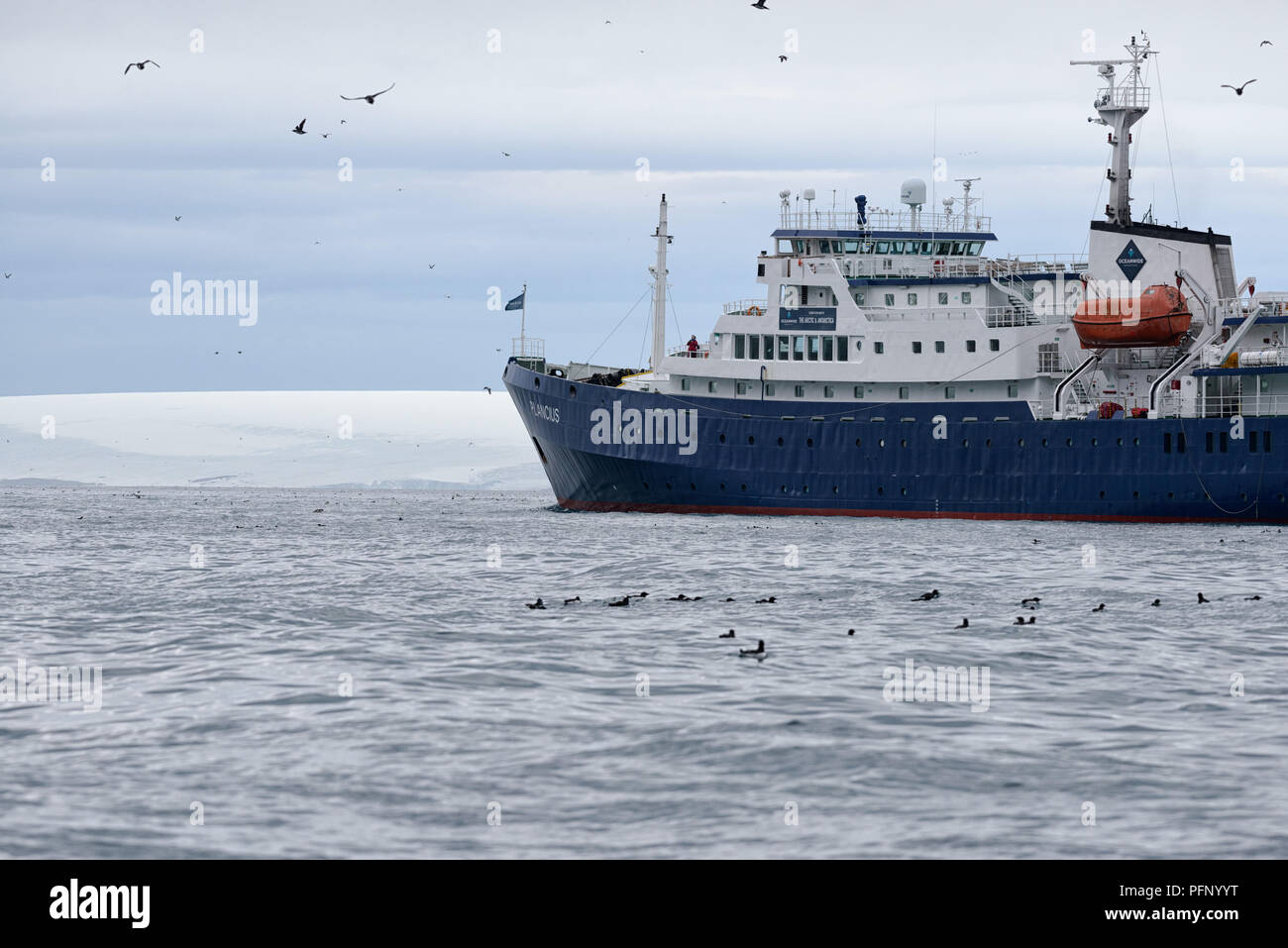 Cruise ship with birds near Alkefjellet, Hinlopenstretet, Svalbard, Norway Stock Photo