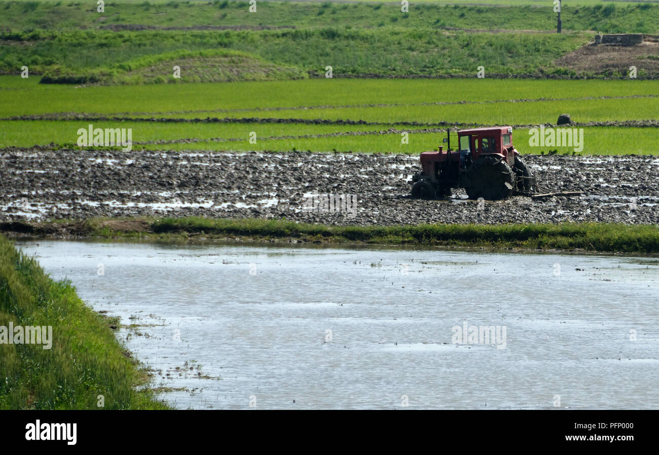 North Korea - tractor in deep mud by the paddy fields of North Korea Stock Photo