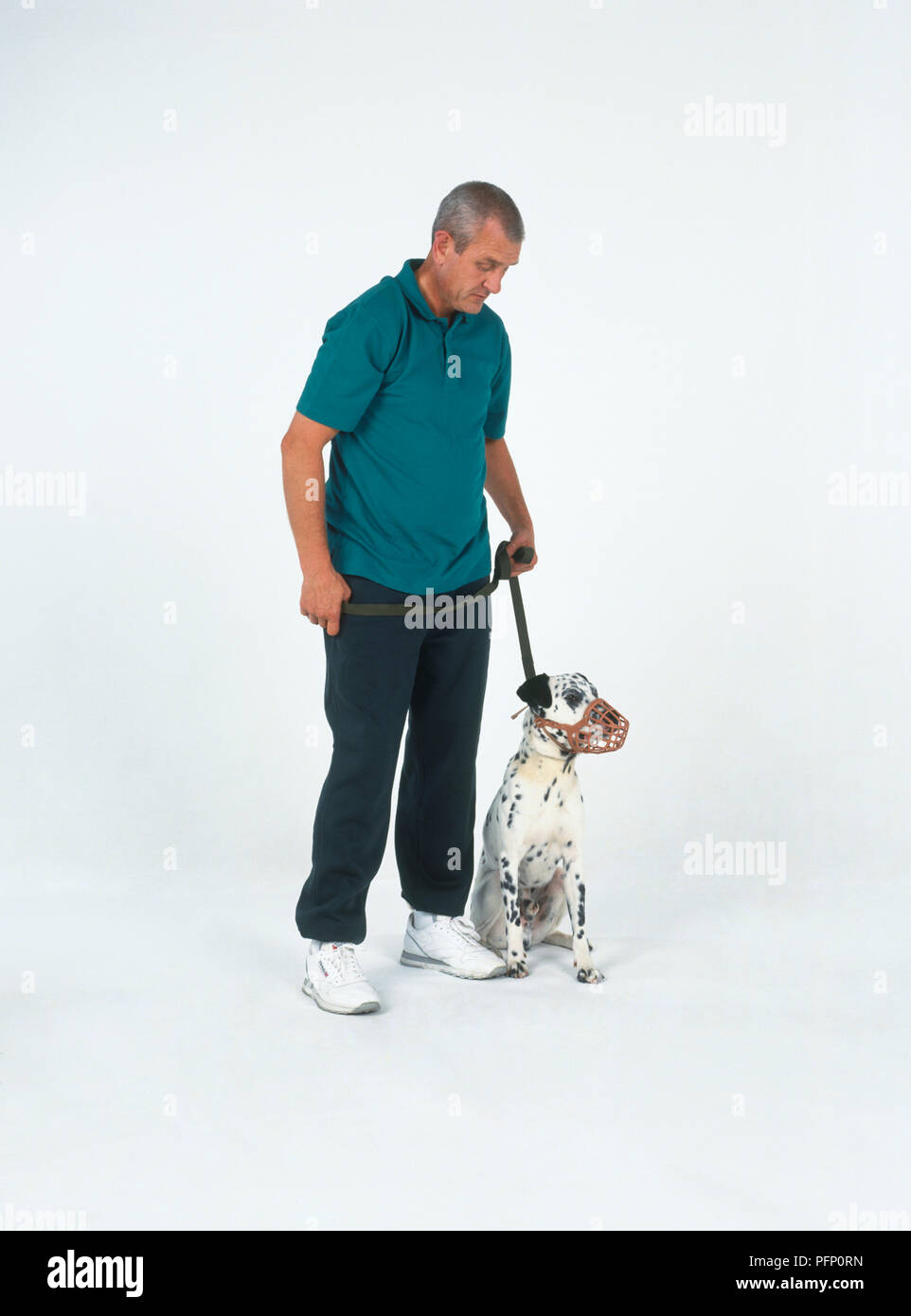 Dalmatian wearing muzzle, man holding leash Stock Photo Alamy
