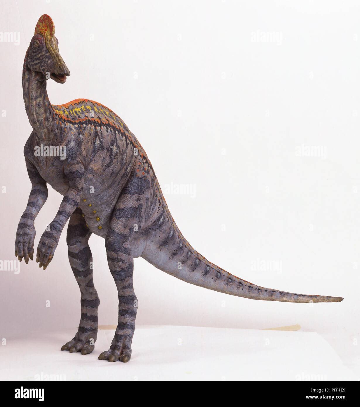 Corythosaurus hires stock photography and images Alamy