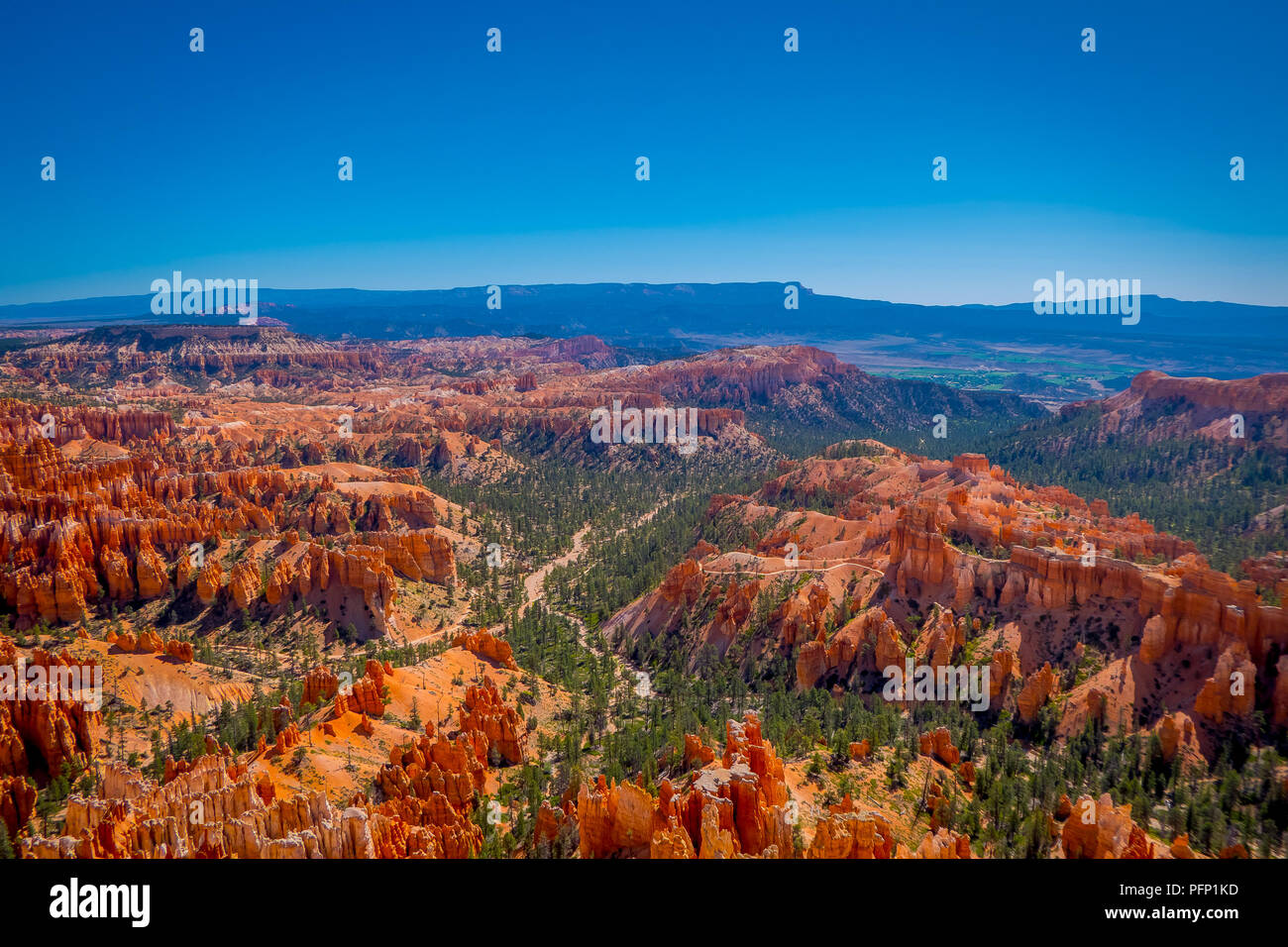 Bryce Canyon National Park is a National Park located in southwestern Utah in the United States Stock Photo