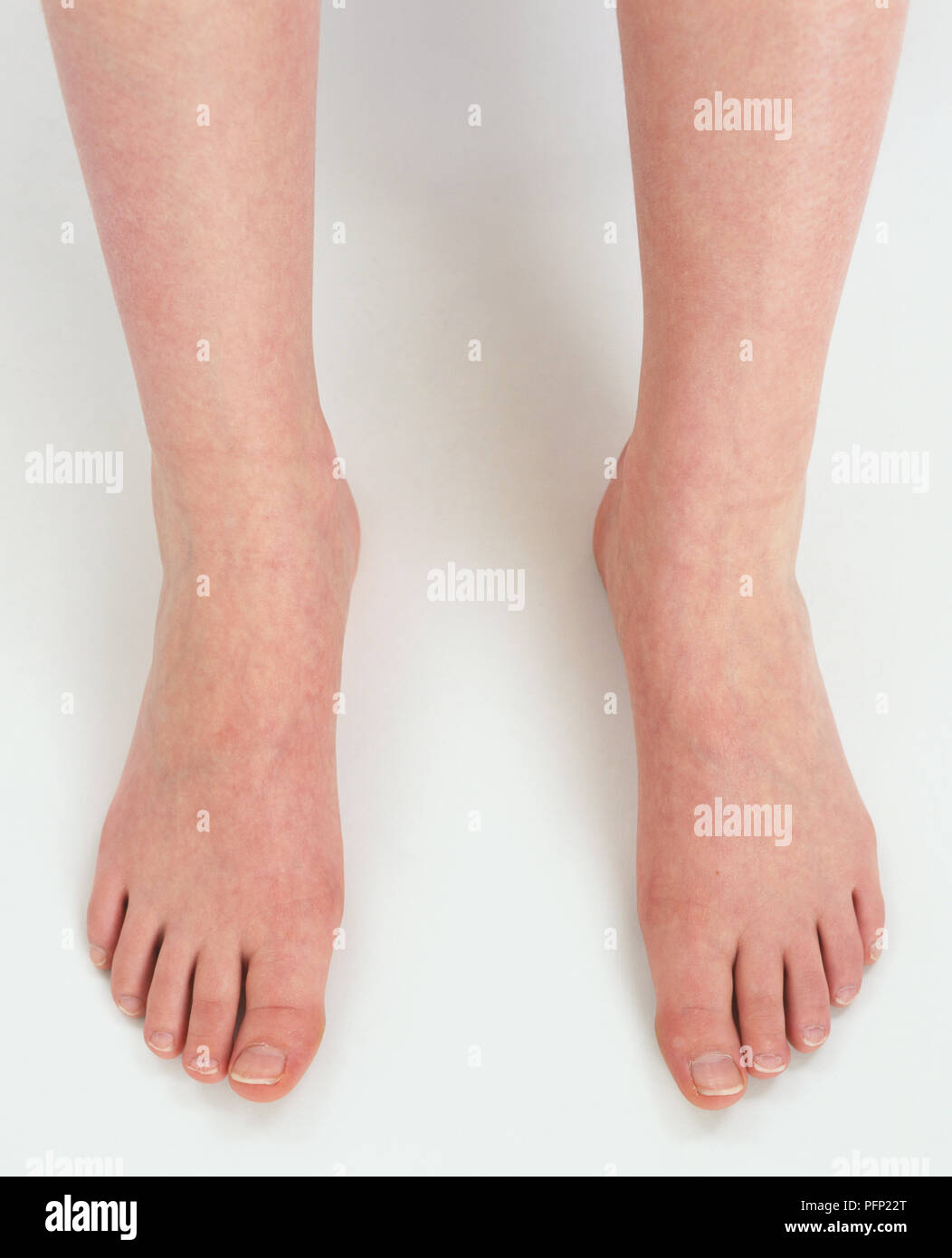 Pair of female feet, close up, view from above Stock Photo Alamy(03)