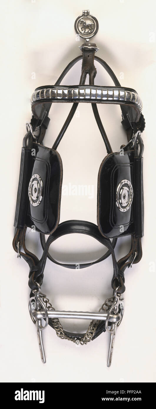 Closed Bridle as is worn on horse's head, black leather and metal, ornate fly-head terret, head strap, blinkers, noseband, cheek-piece, straight bar and bit, above view. Stock Photo