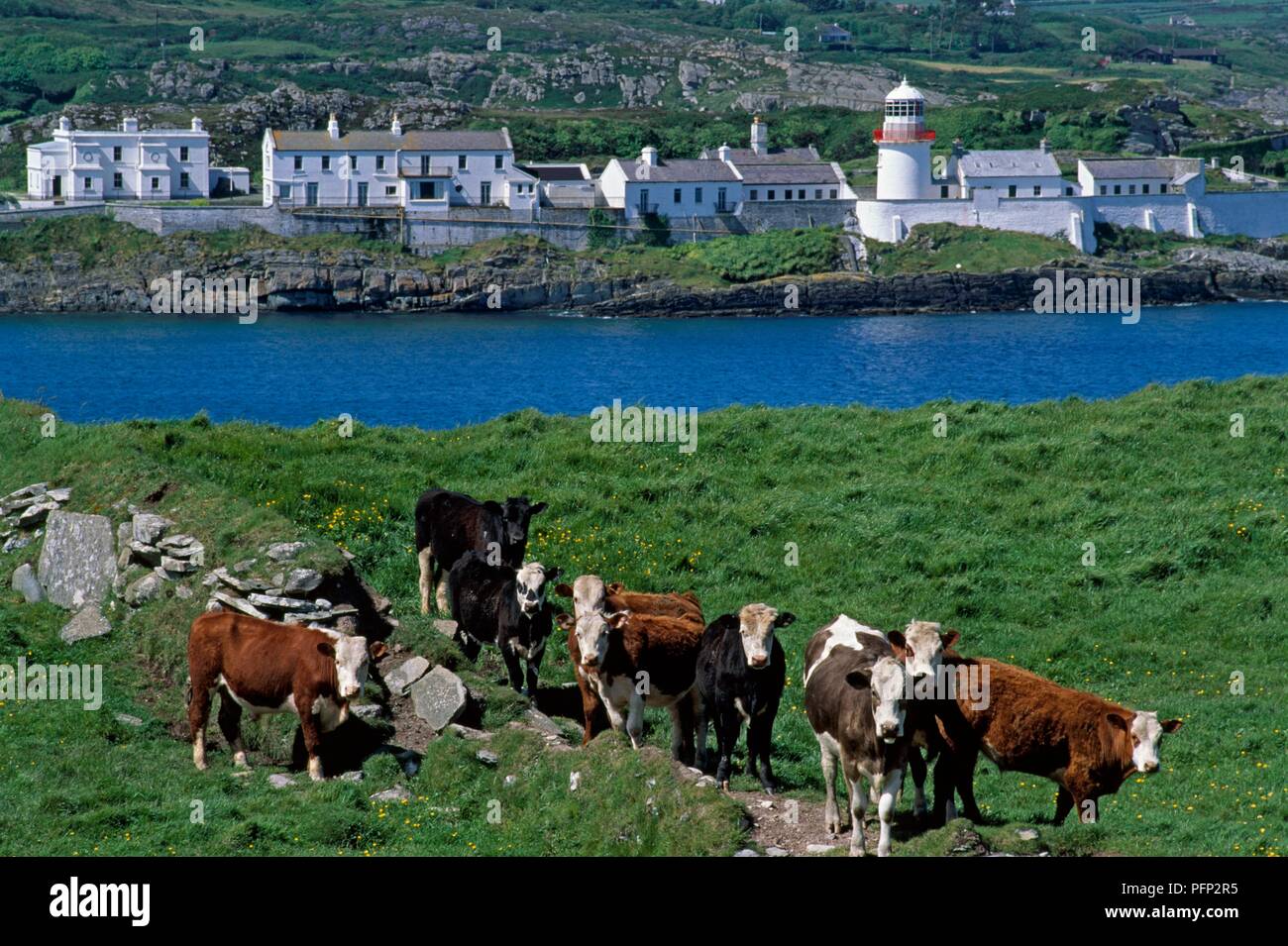 Spanish point ireland hires stock photography and images Alamy