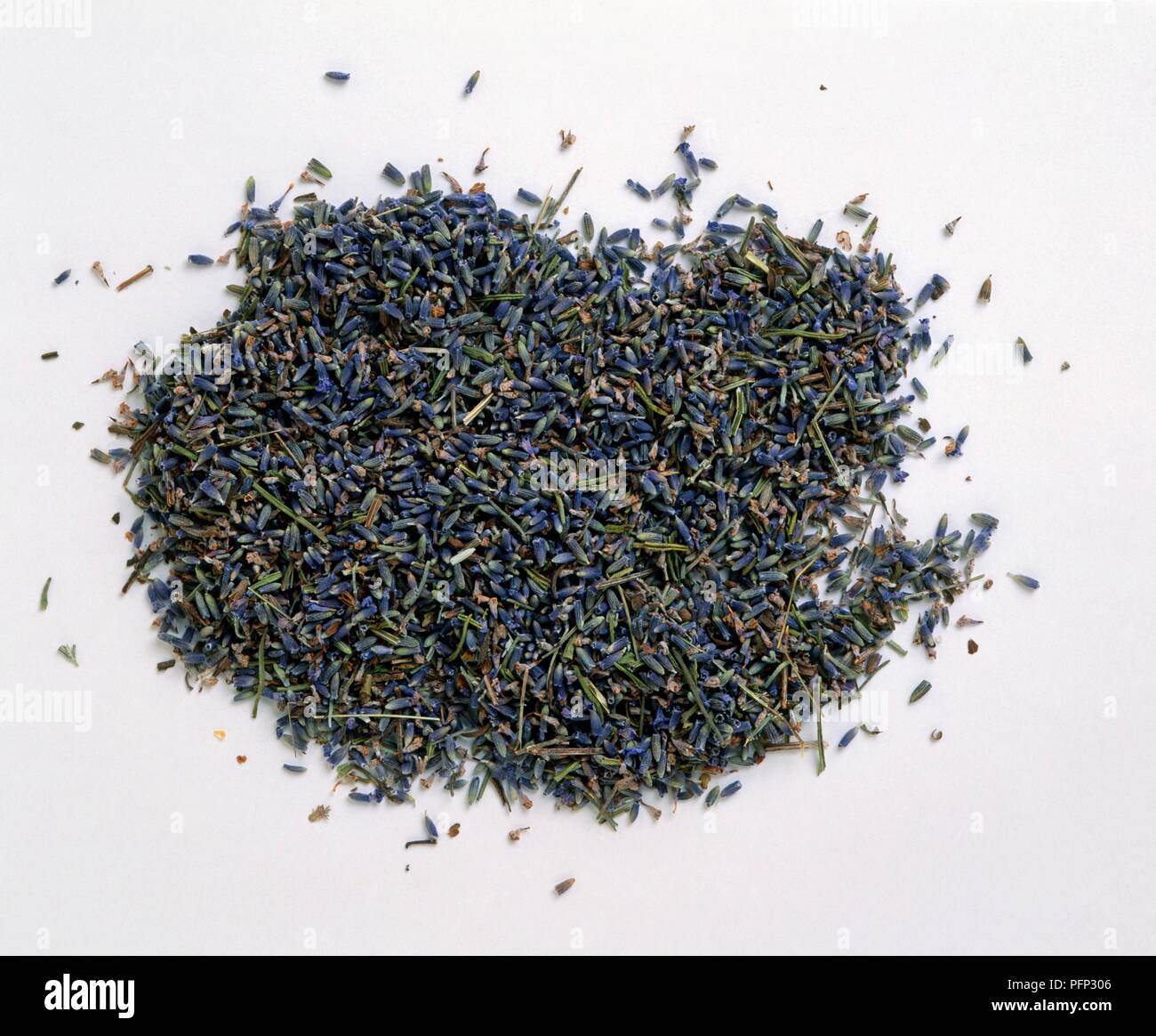 какие семена лаванды. семена лаванды ворсянки. какие семена лаванды. семечки лаванды. лаванда узколистная семена.