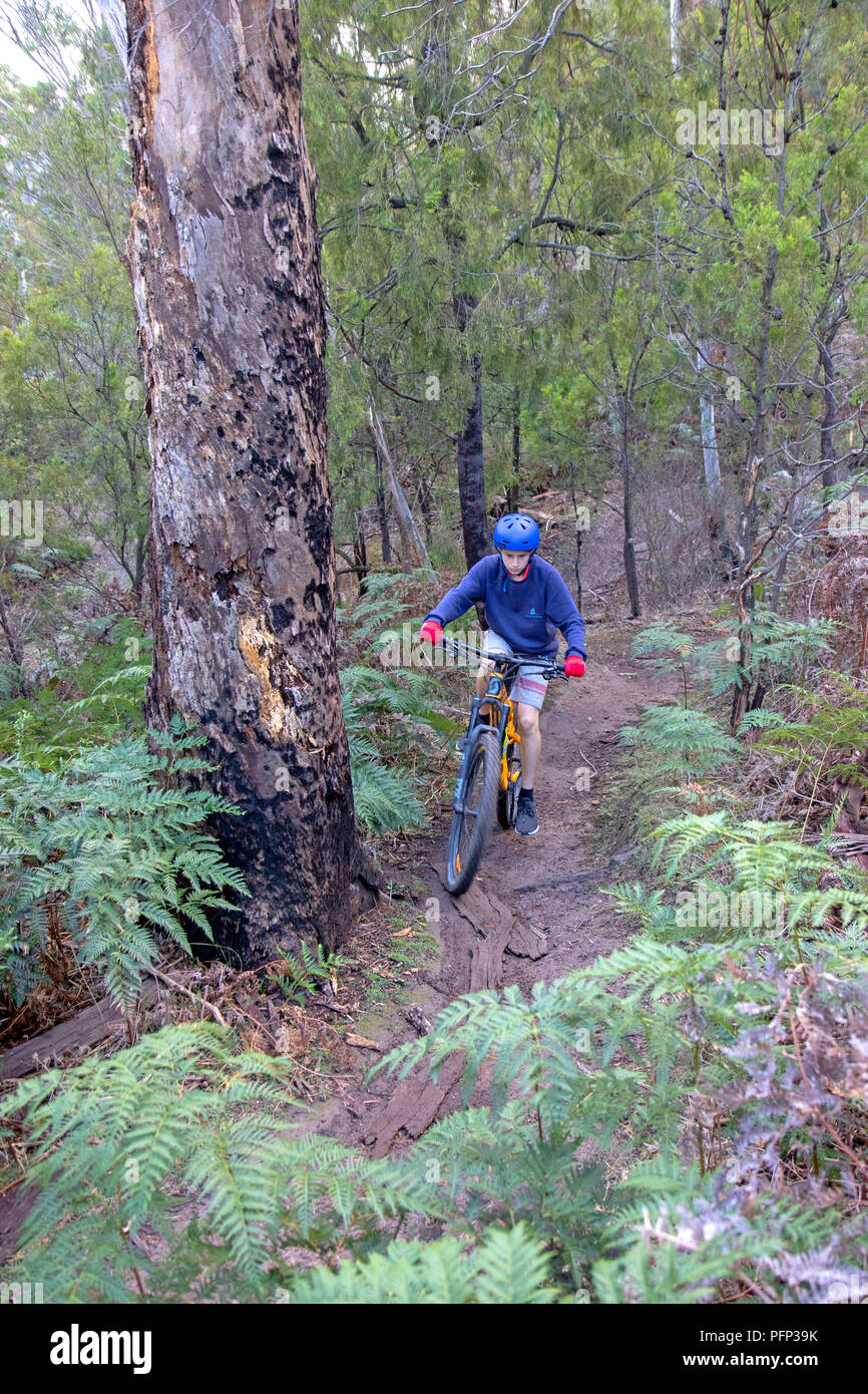 Cycling at the Clarence Mountain Bike Park Stock Photo Alamy