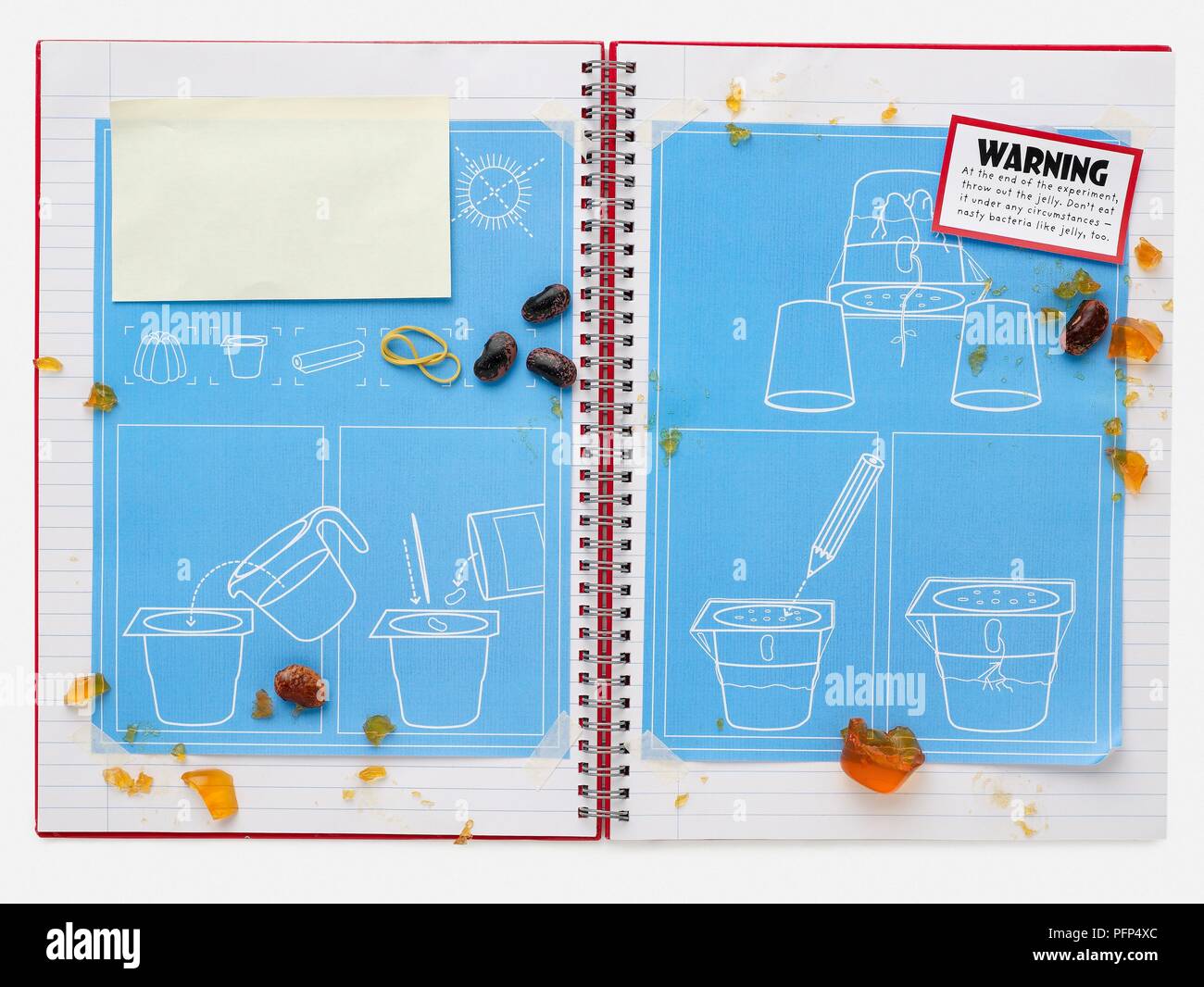 Child's notebook covered with beans and jelly showing experiments