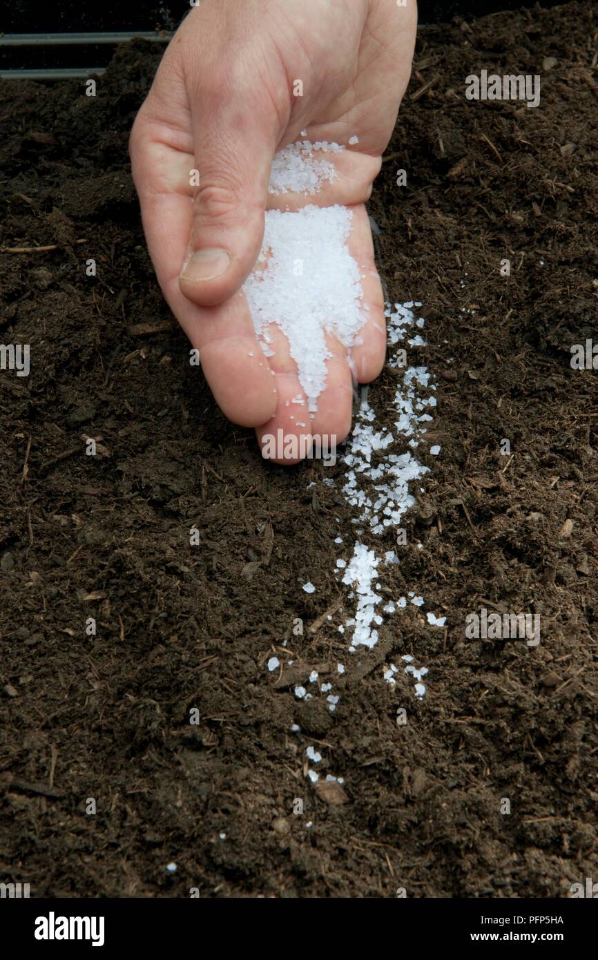 Soil granules hires stock photography and images Alamy
