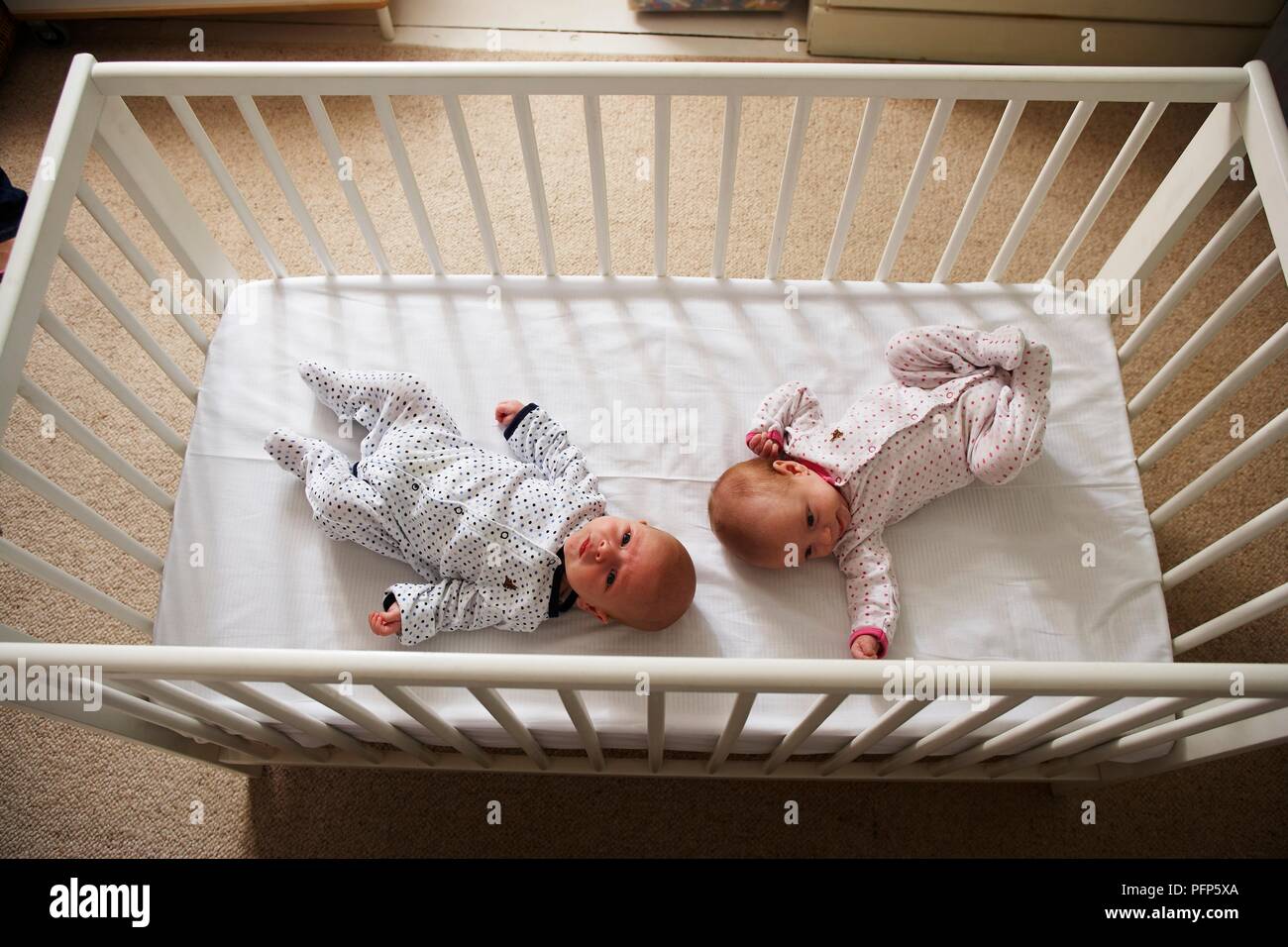 Twins lying in cot, overhead view Stock Photo Alamy