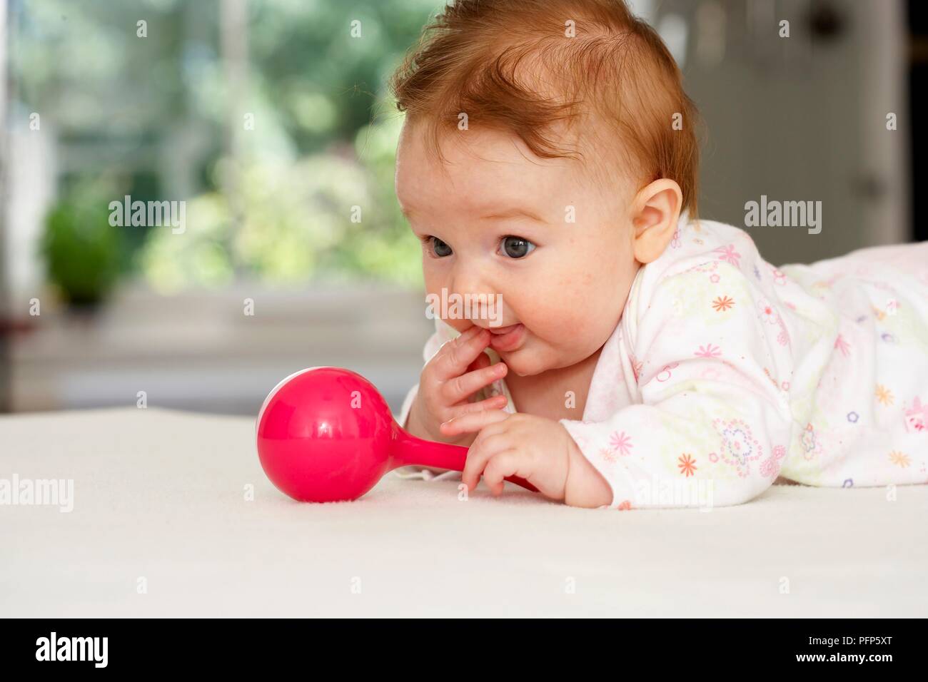 Baby girl lying on front holding rattle, side view Stock Photo Alamy