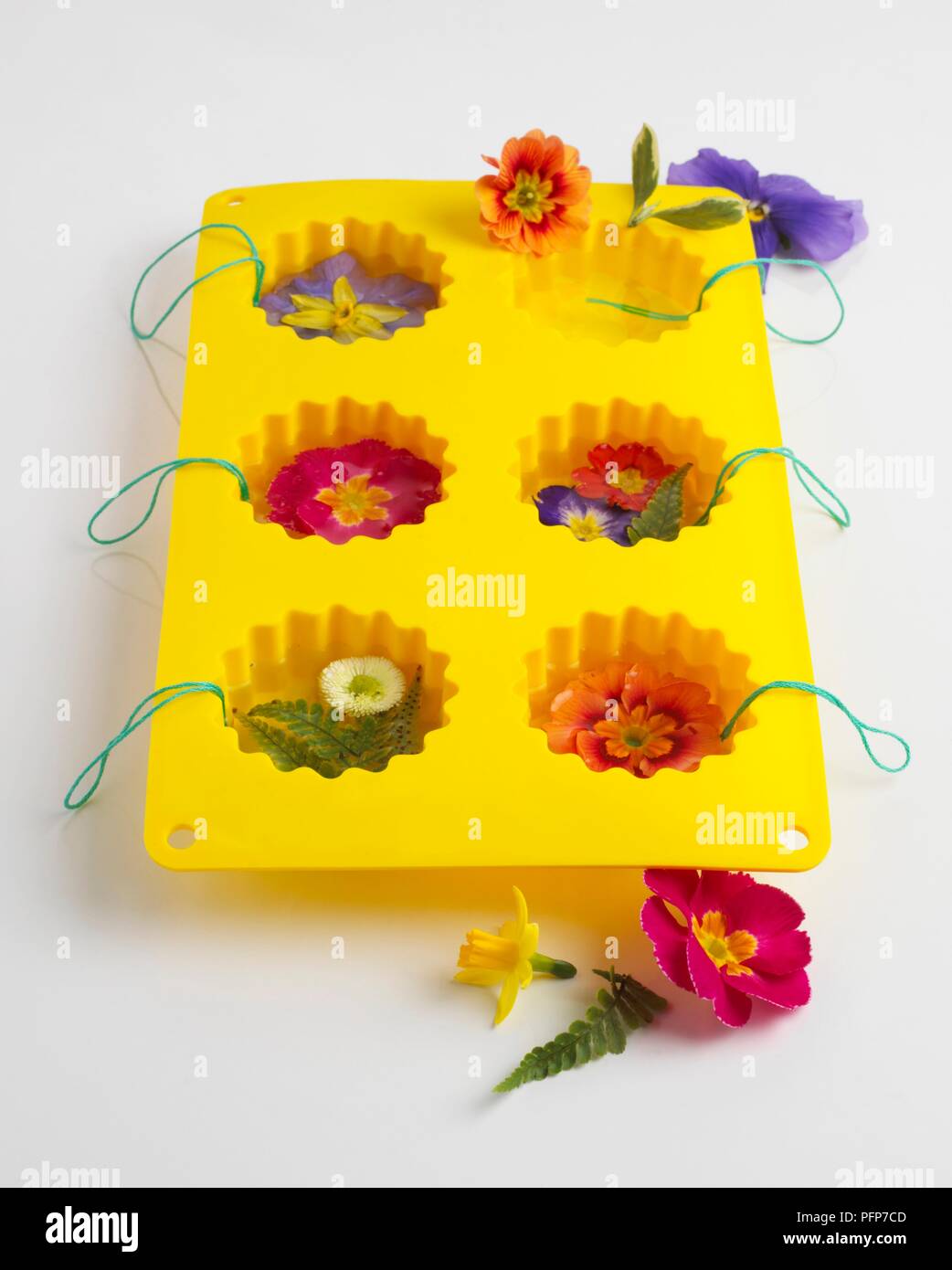 Flowers With Threads Attached Placed In Muffin Tray Filled With