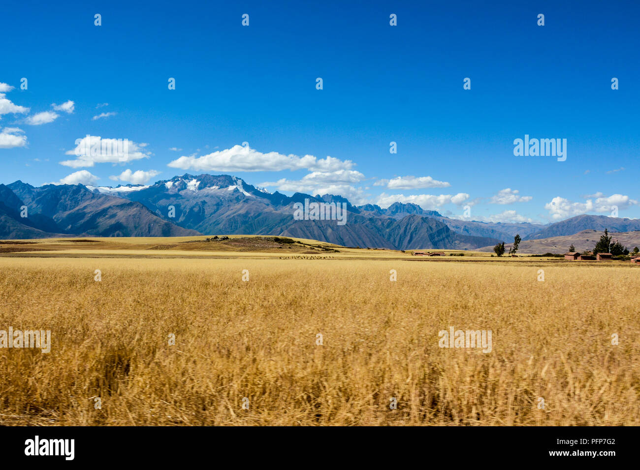 Flat land on Peru Sacred Valley with Andes on the back Stock Photo