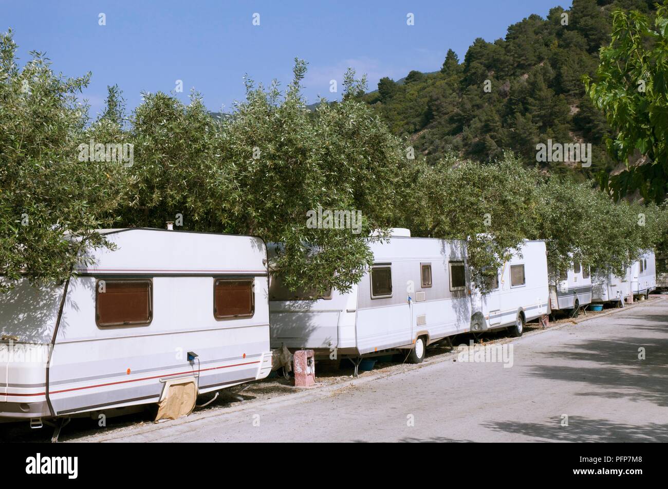 Greece, Euboea island, caravans parked under trees along street Stock Photo