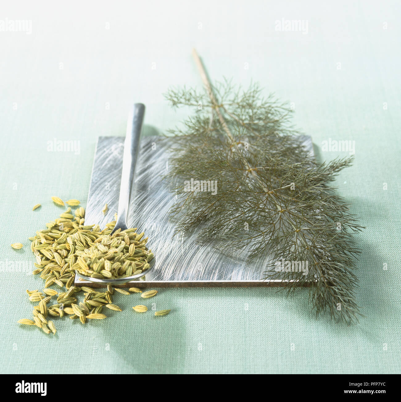 Sprig of fresh bronze fennel on metal surface, next to spoon full of