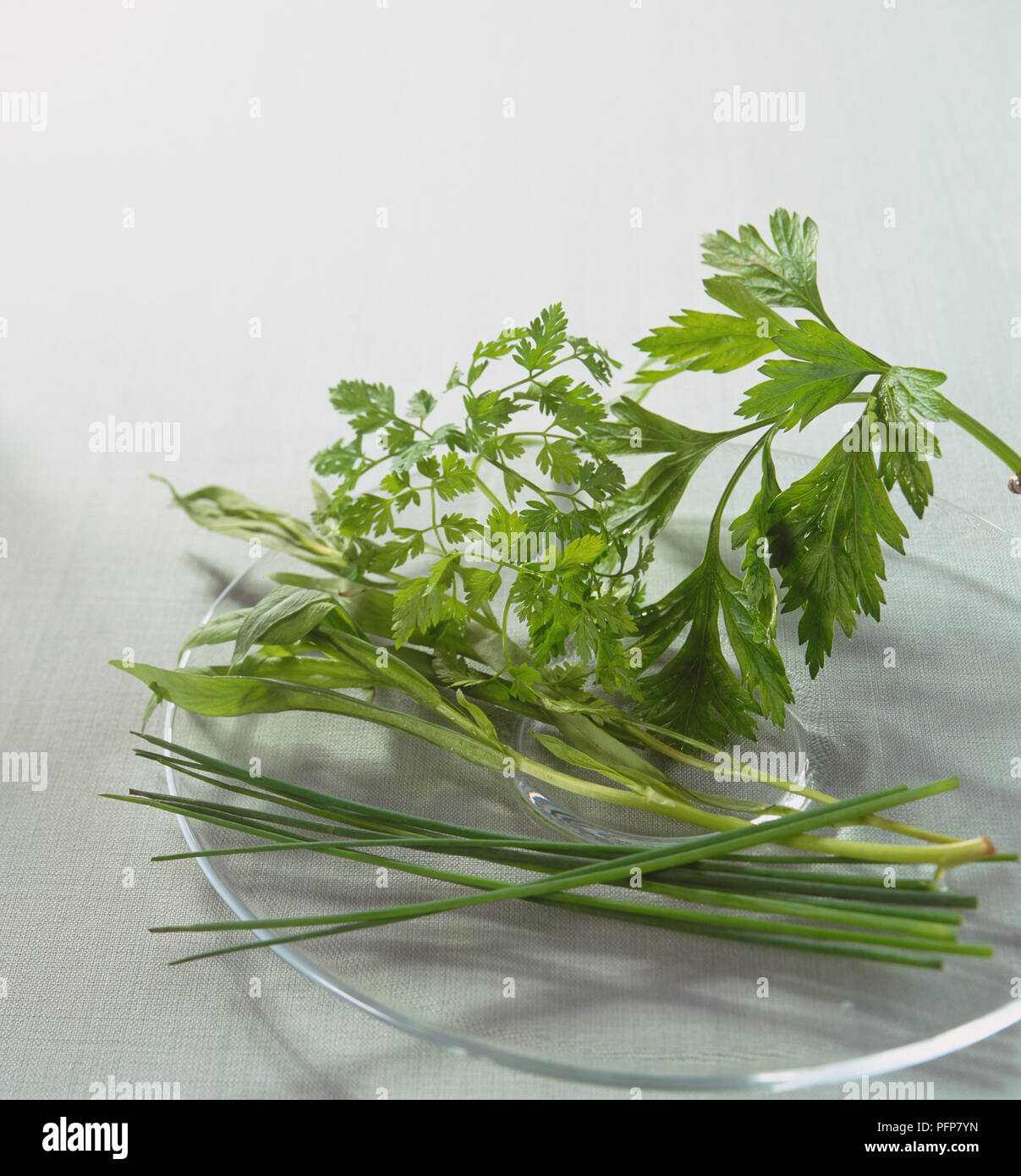 Anthriscus cerefolium, allium schoenoprasum, petroselinum crispum, artemisia dracunculus, fresh Chervil, Chives, Parsley and Tarragon leaves. Stock Photo