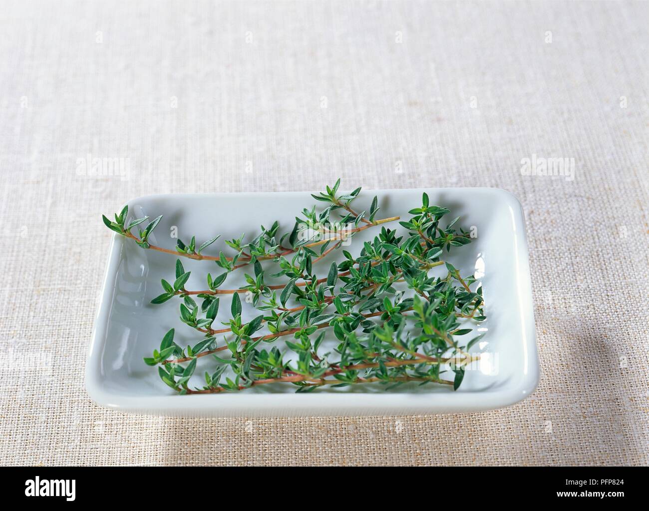 Caraway thyme thymus herba barona hires stock photography and images