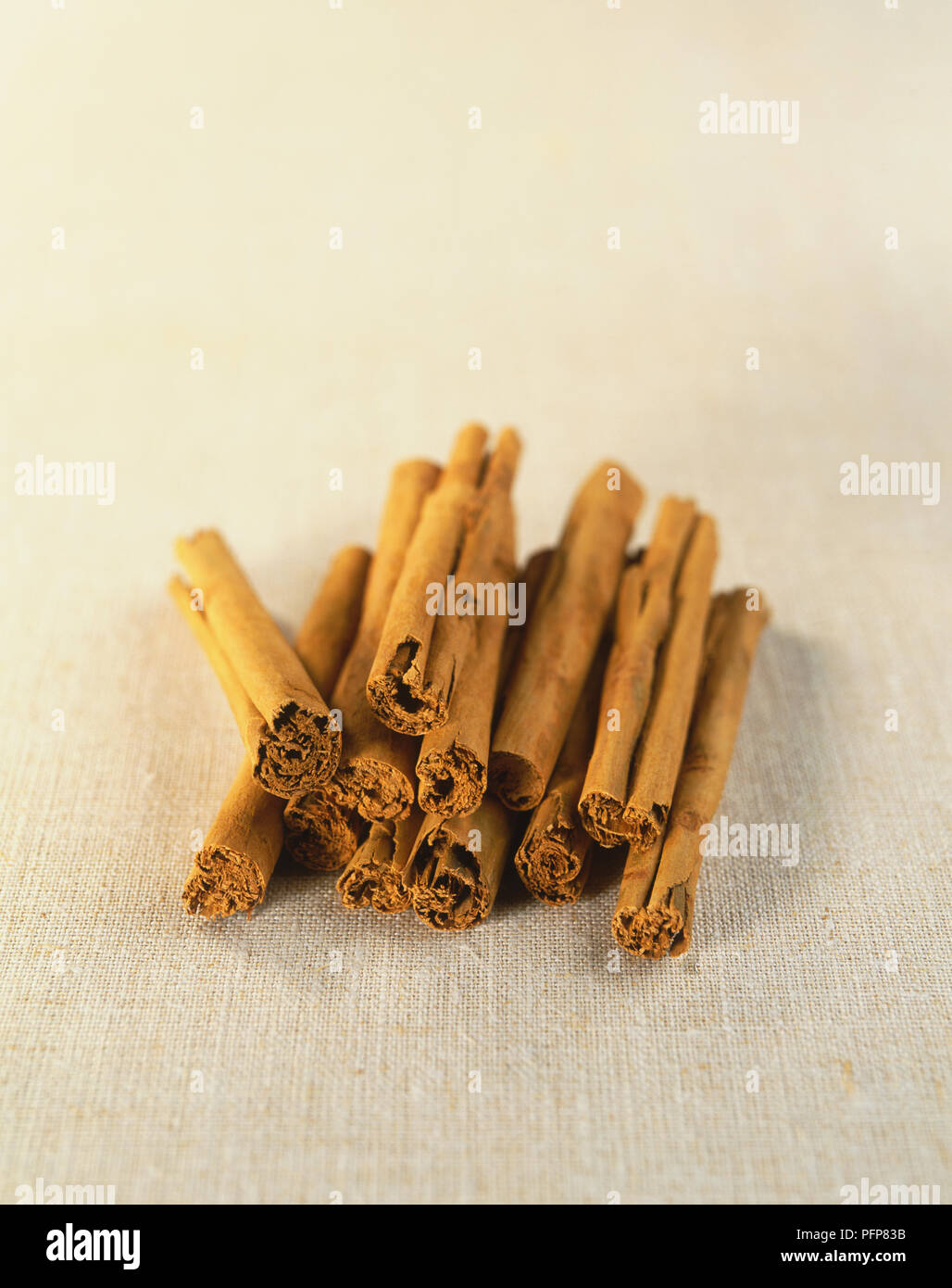 Cinnamomum zeylanicum, Cinnamon, strips of rolled bark rolled one into